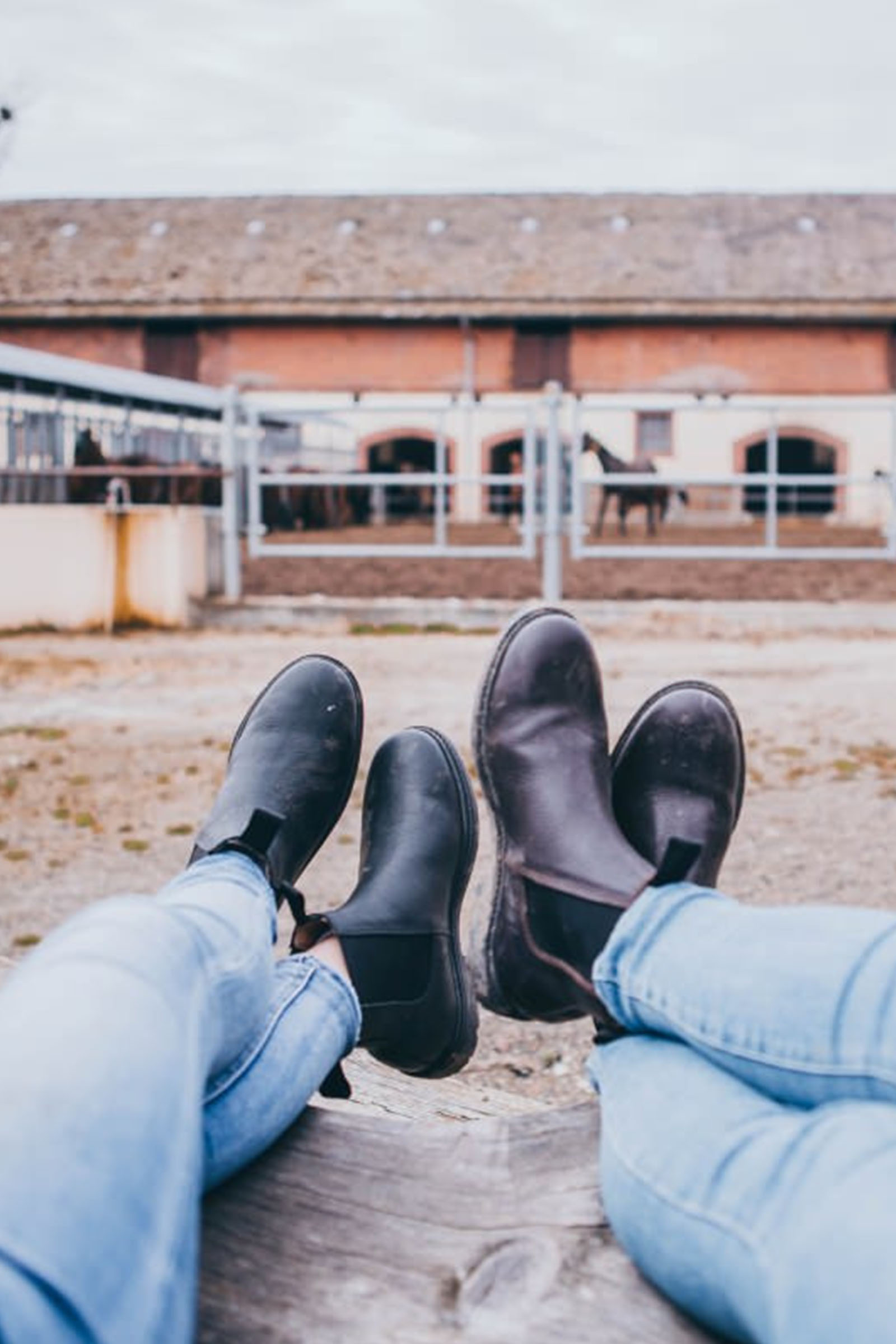 Suedwind Footwear 1888 Chelsea Jodhpur Stövlar