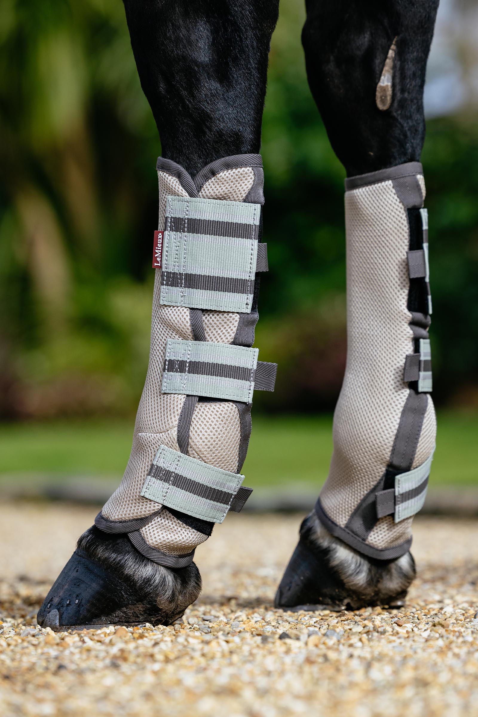 LeMieux Arika mesh flugskydd set 4 stycken