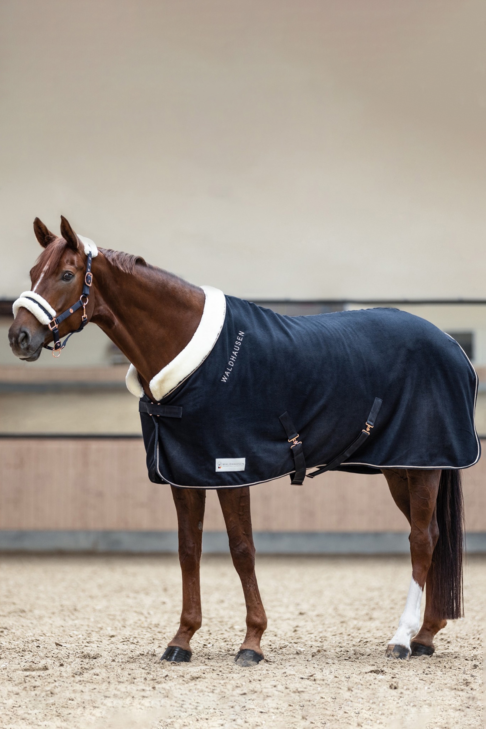 Waldhausen Rosé Modern Fleece Rug