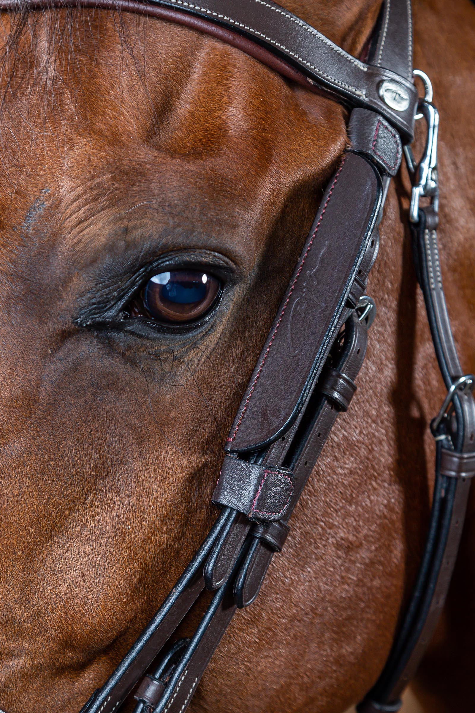 Dy'on Working mini skygglappar