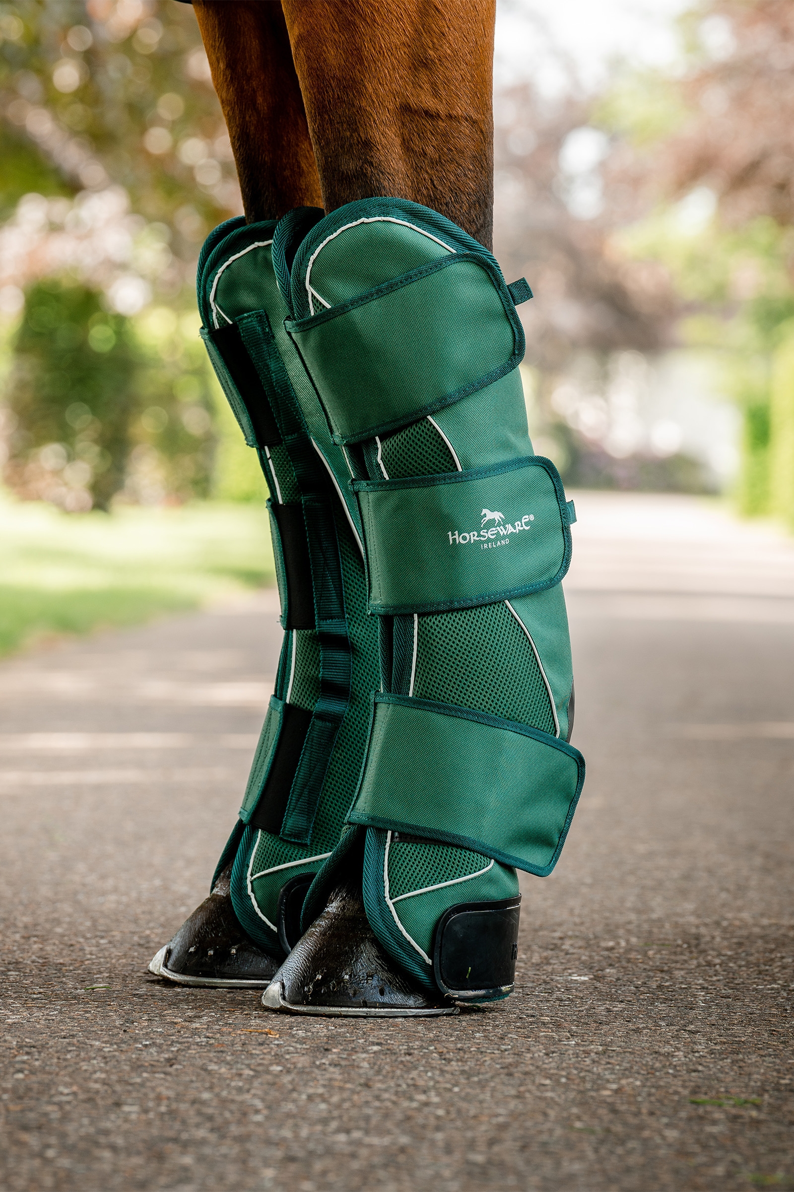 Horseware Signature Transport Benlindor