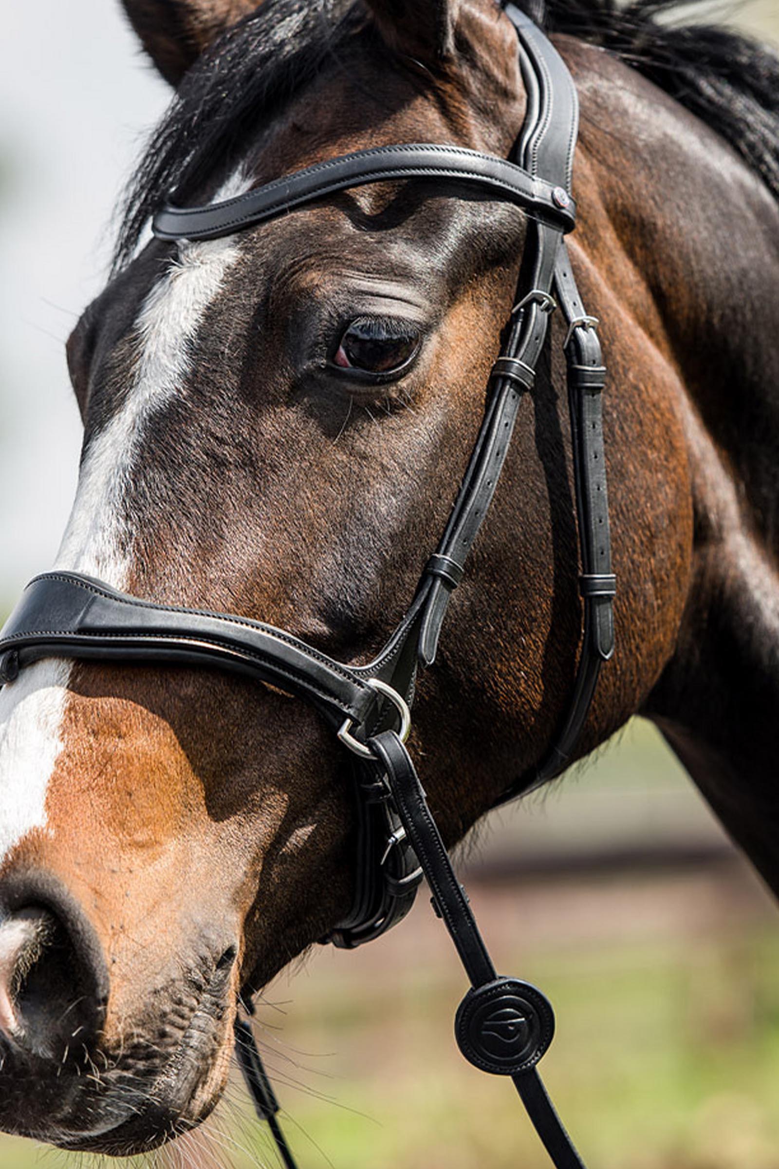 Trust Equestrian Falsterbo T-motion Bridle