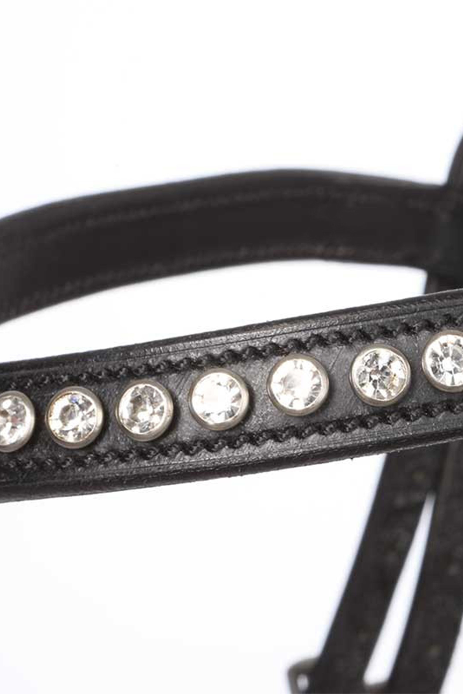 Kavalkade Charlotte dressyrtr&auml;ns med aachen-nosgrimma