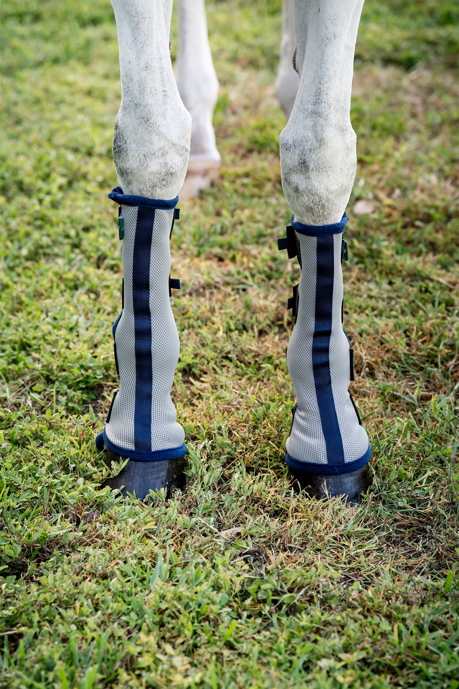 Horseware Fly Boots - set om 2