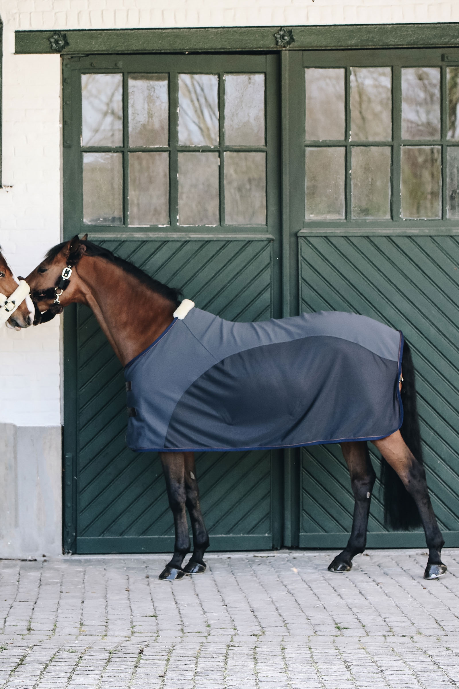 Kentucky Horsewear cooler-t&auml;cke i softshell