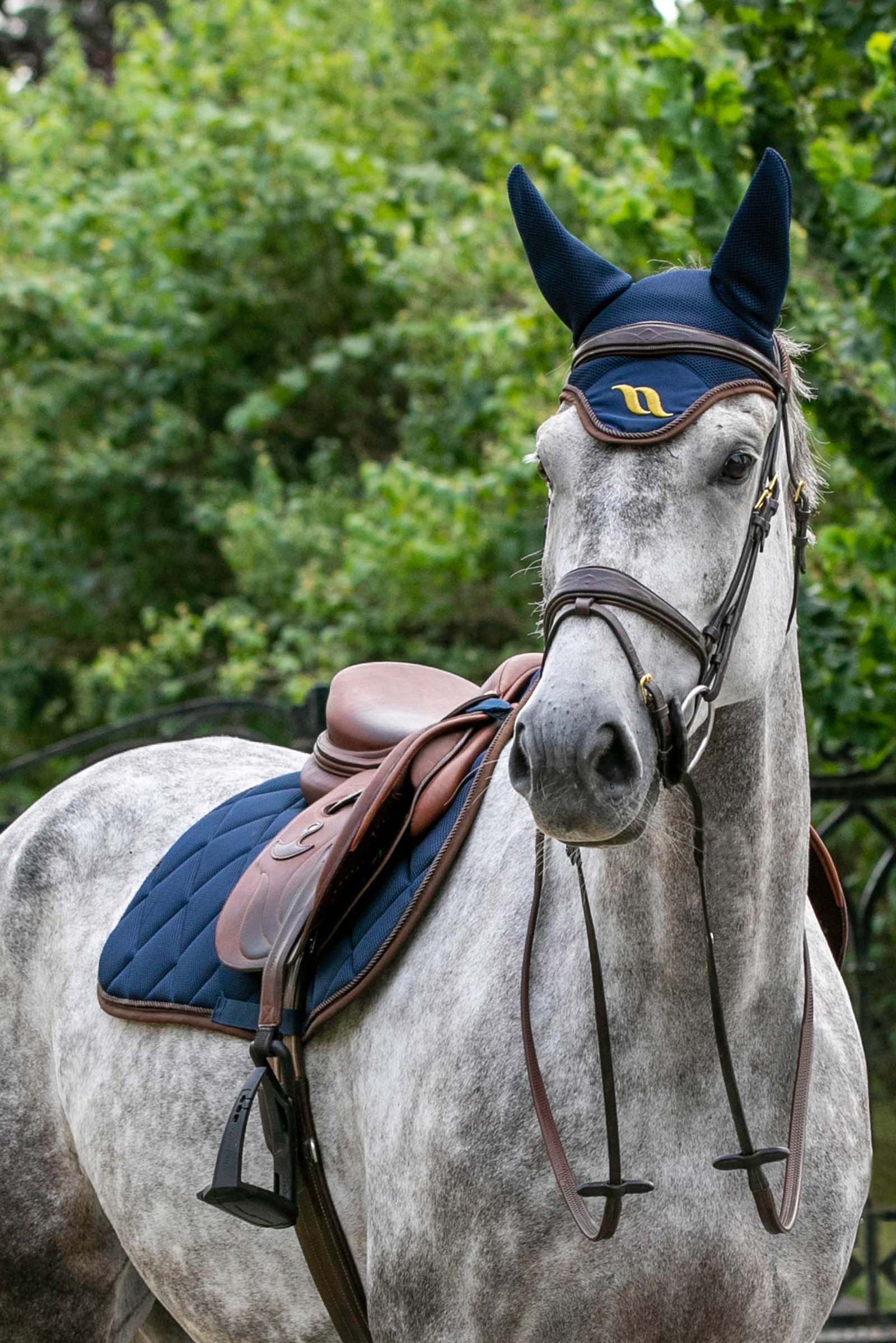 Back on Track Airflow dressyrschabrak