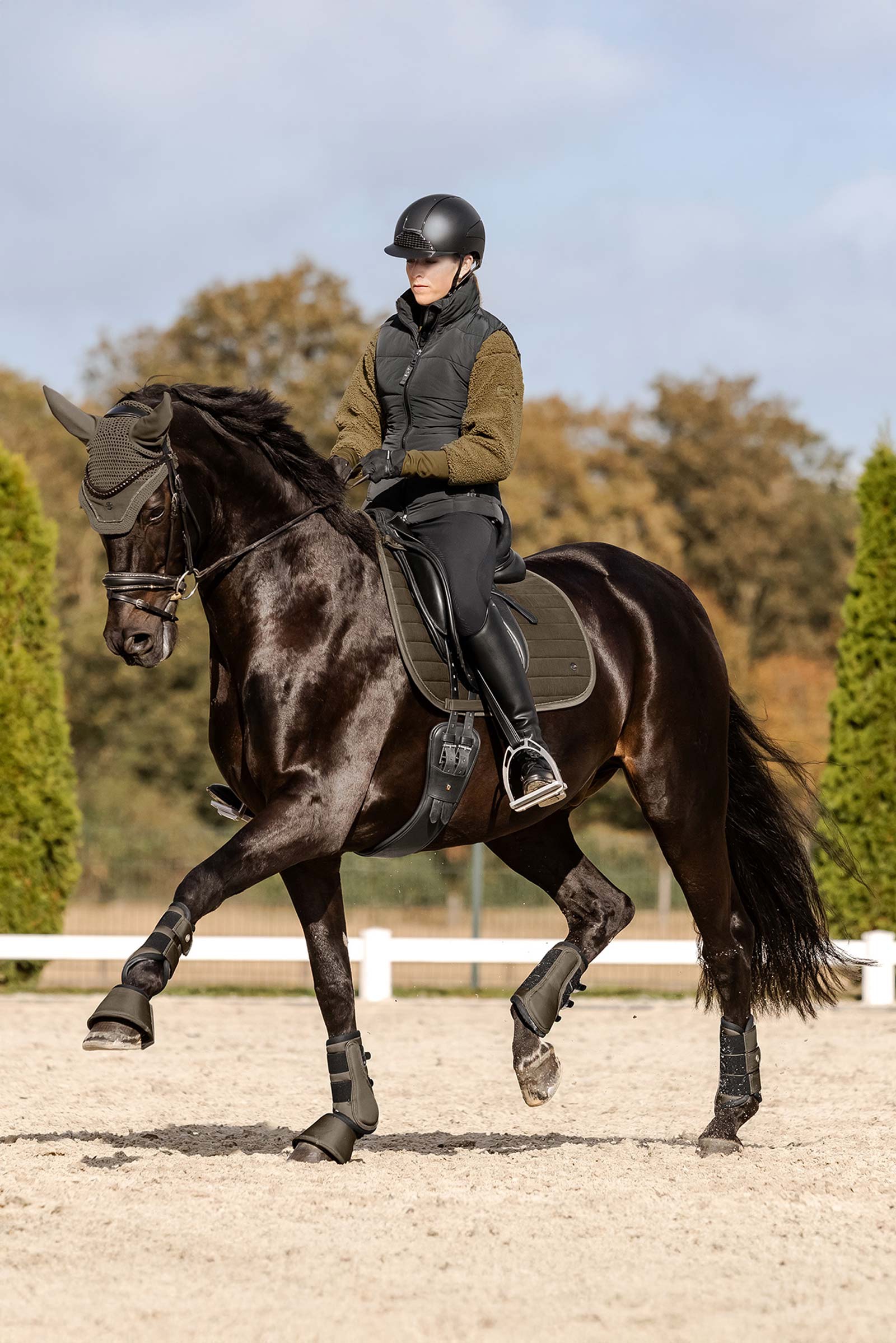 Waldhausen St. Gallen All Purpose Saddle Pad 