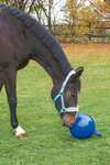 Kerbl Horse Play Ball aktiveringsboll