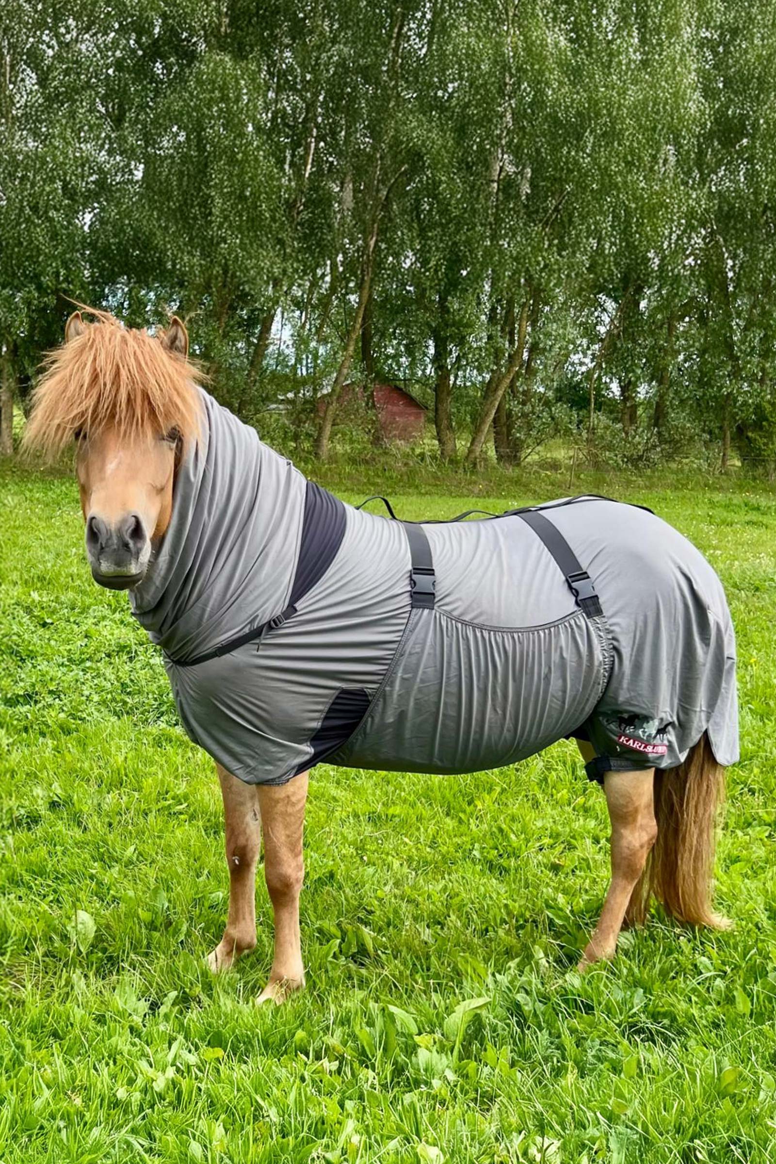 Karlslund Matti Eksemt&auml;cke med fast hals, 0g