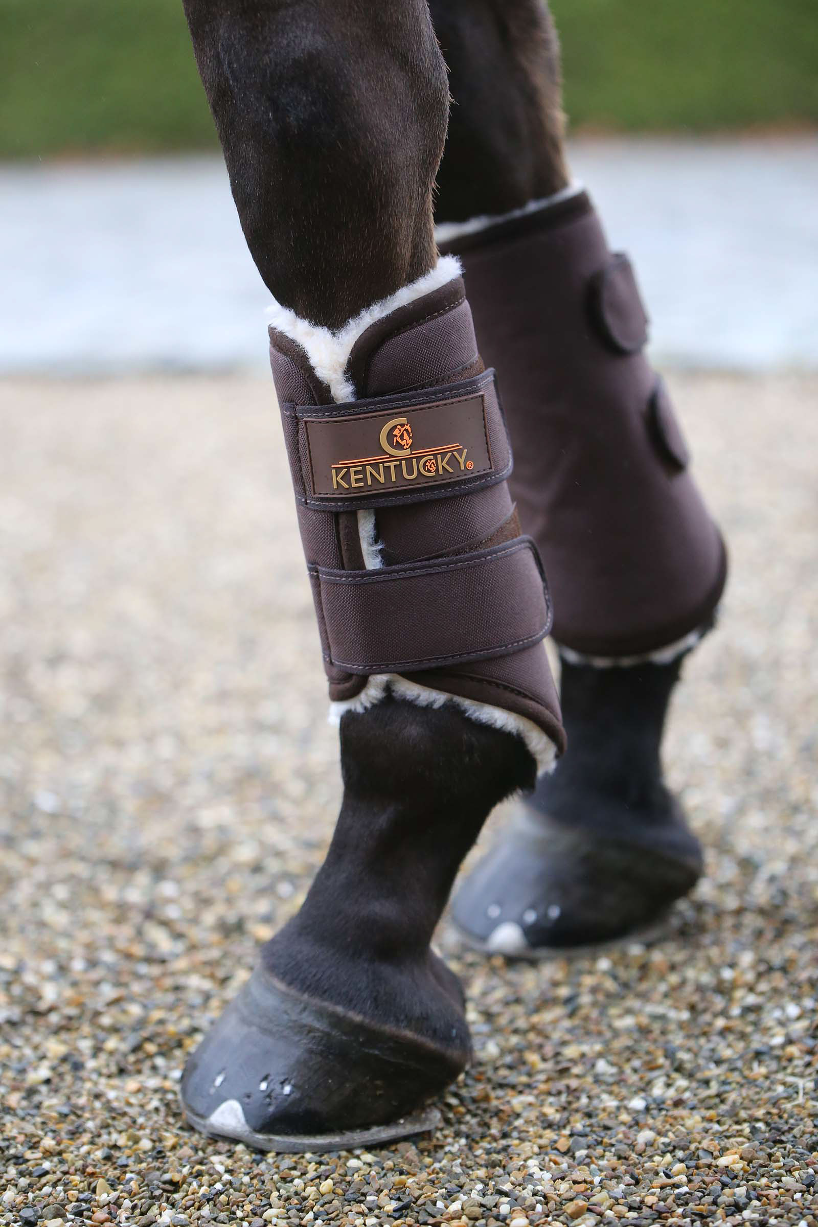 Brown Kentucky Horsewear Solimbra Turnout Boots, bakben
