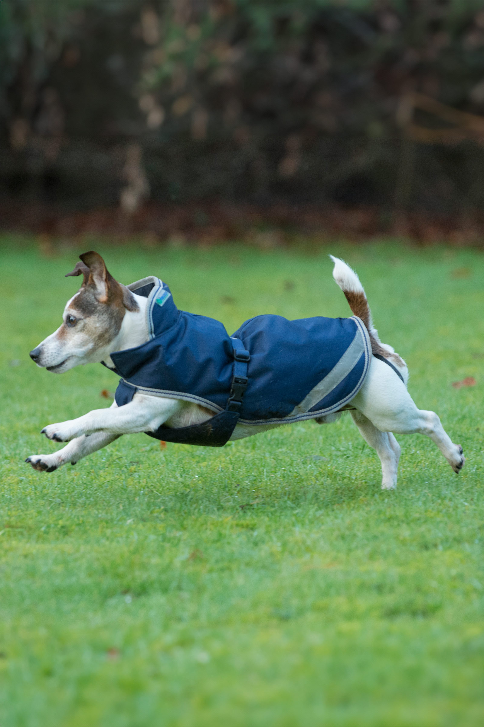 Bucas Freedom hundt&auml;cke, 300g (30-45 cm)