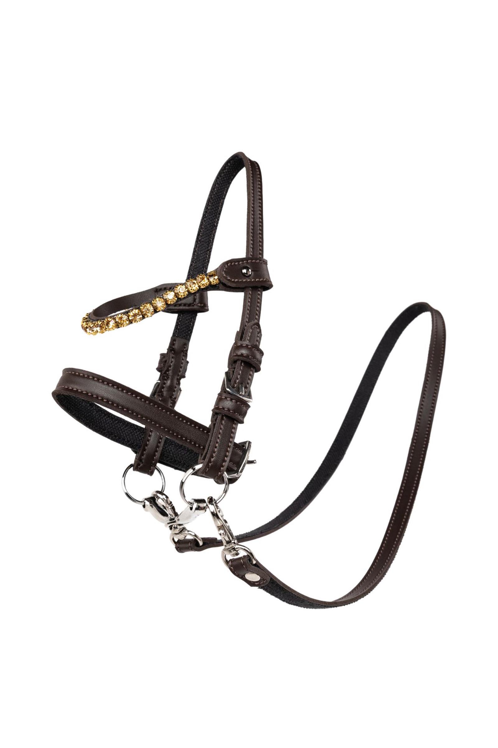 My Hobby Horse l&auml;dertr&auml;ns med stenar