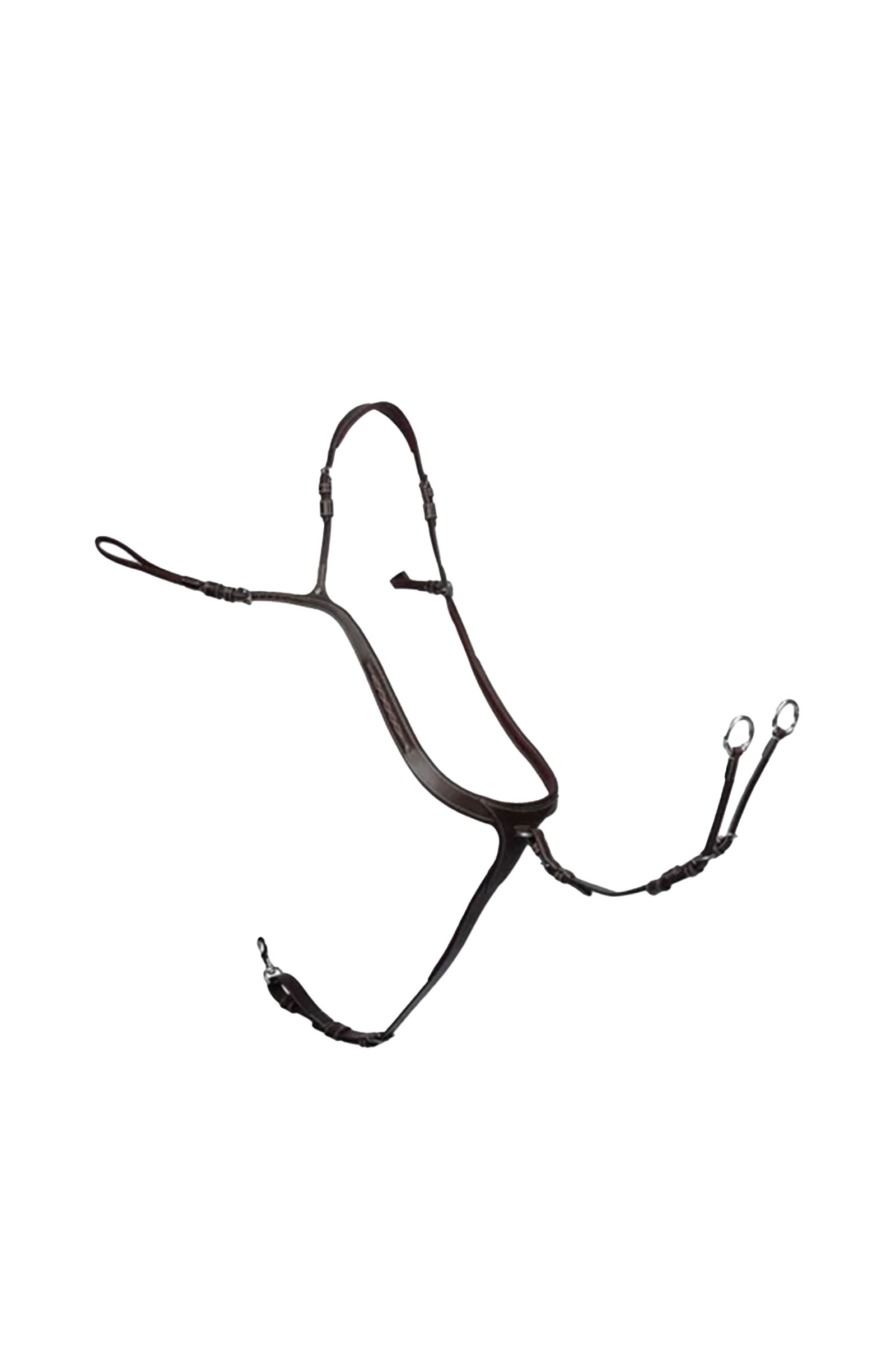 PS of Sweden förbygel Tokyo