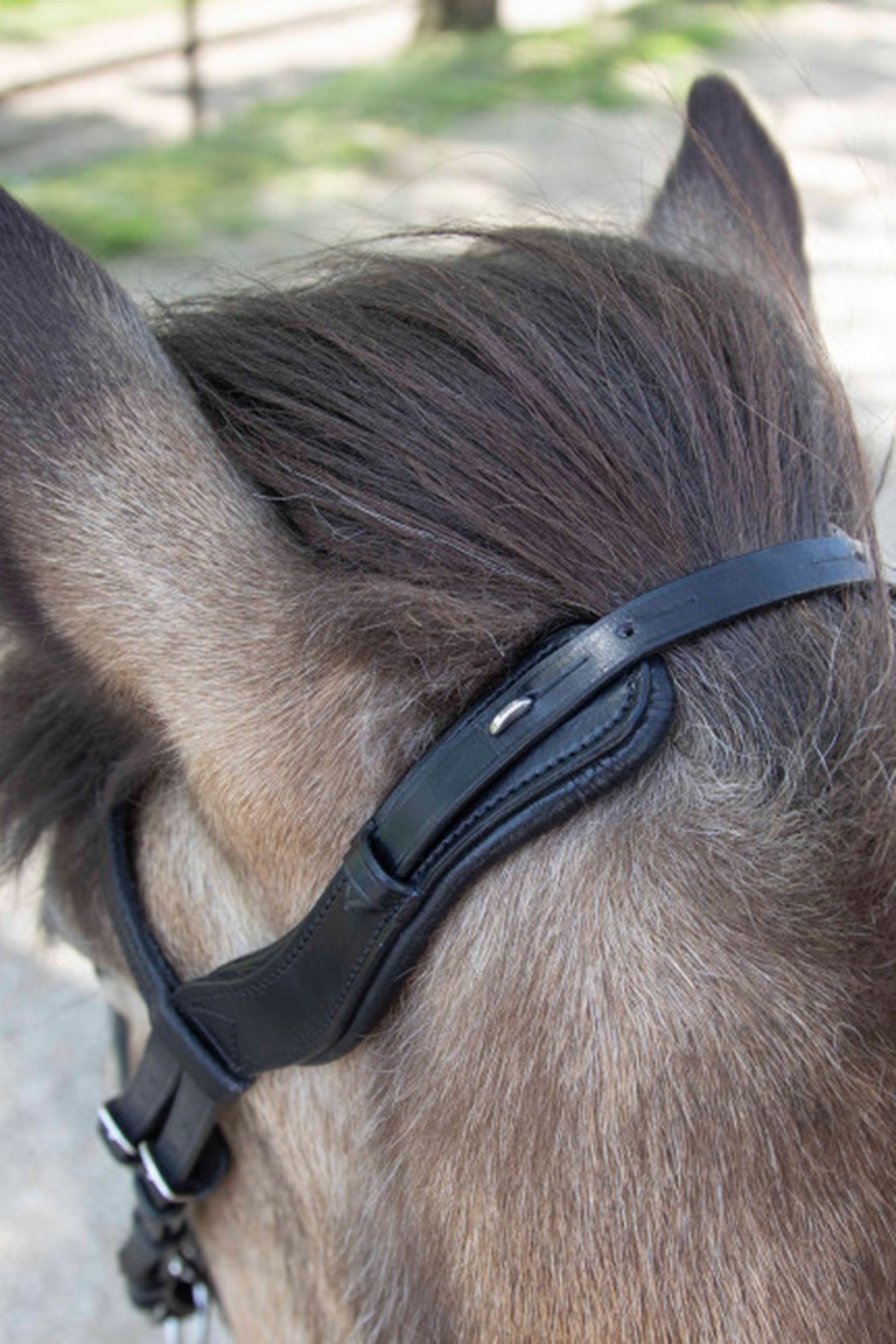 Waldhausen Anatomisk Isl&auml;ndsk Tr&auml;ns