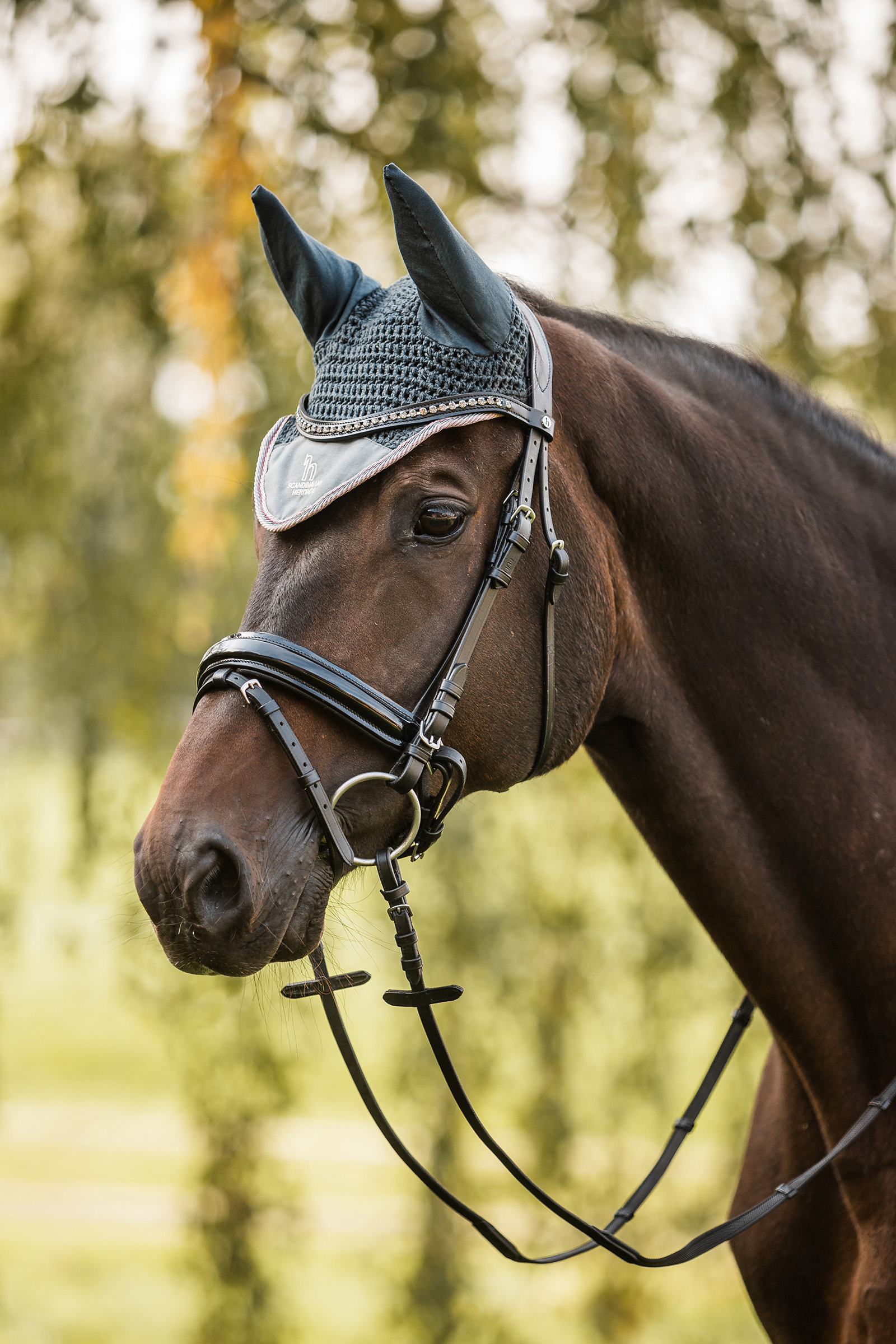 Horze Leighton Teens kollektion ridhuva