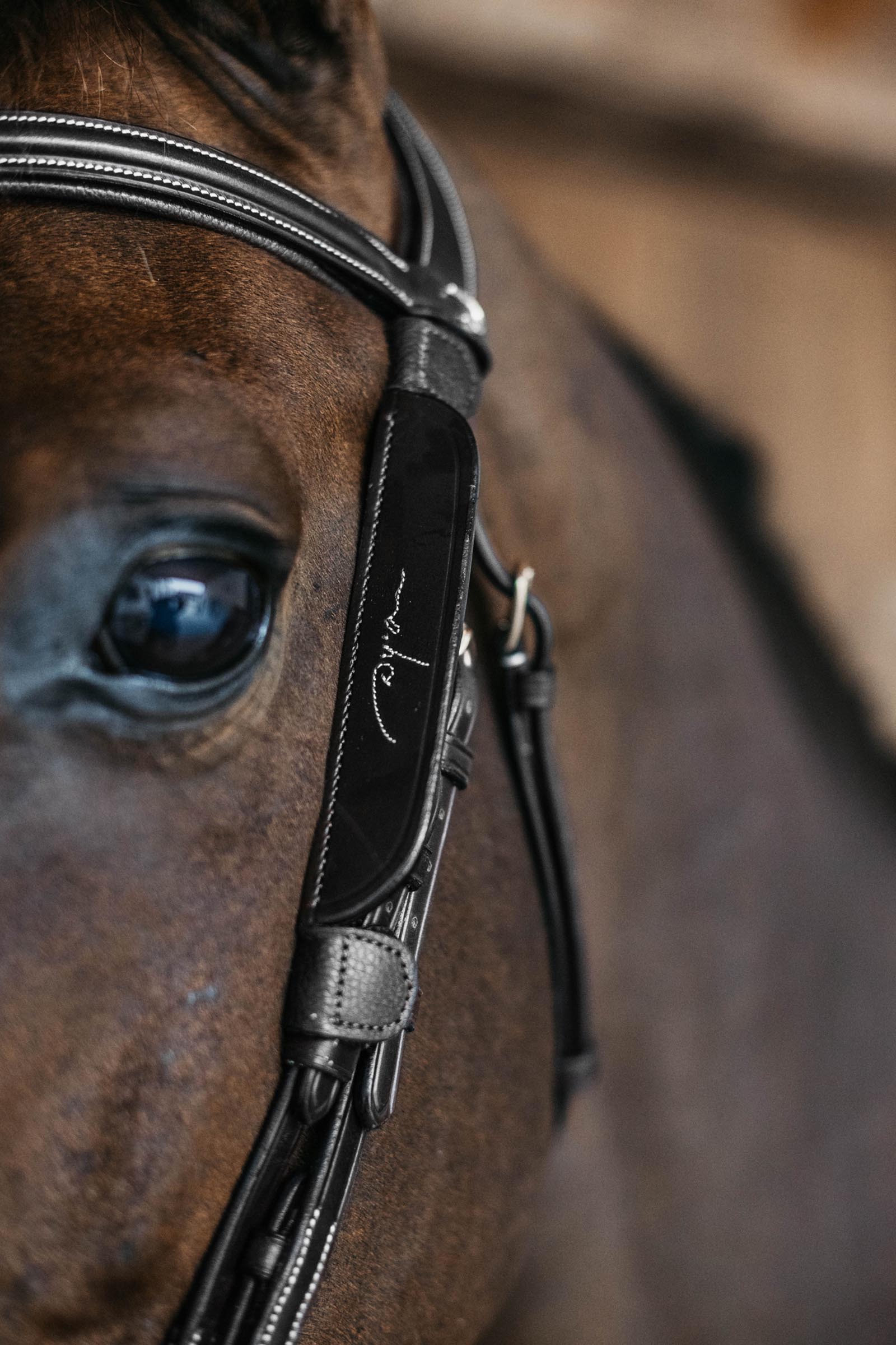 Dy'on skygglappar med dekorativa s&ouml;mmar  