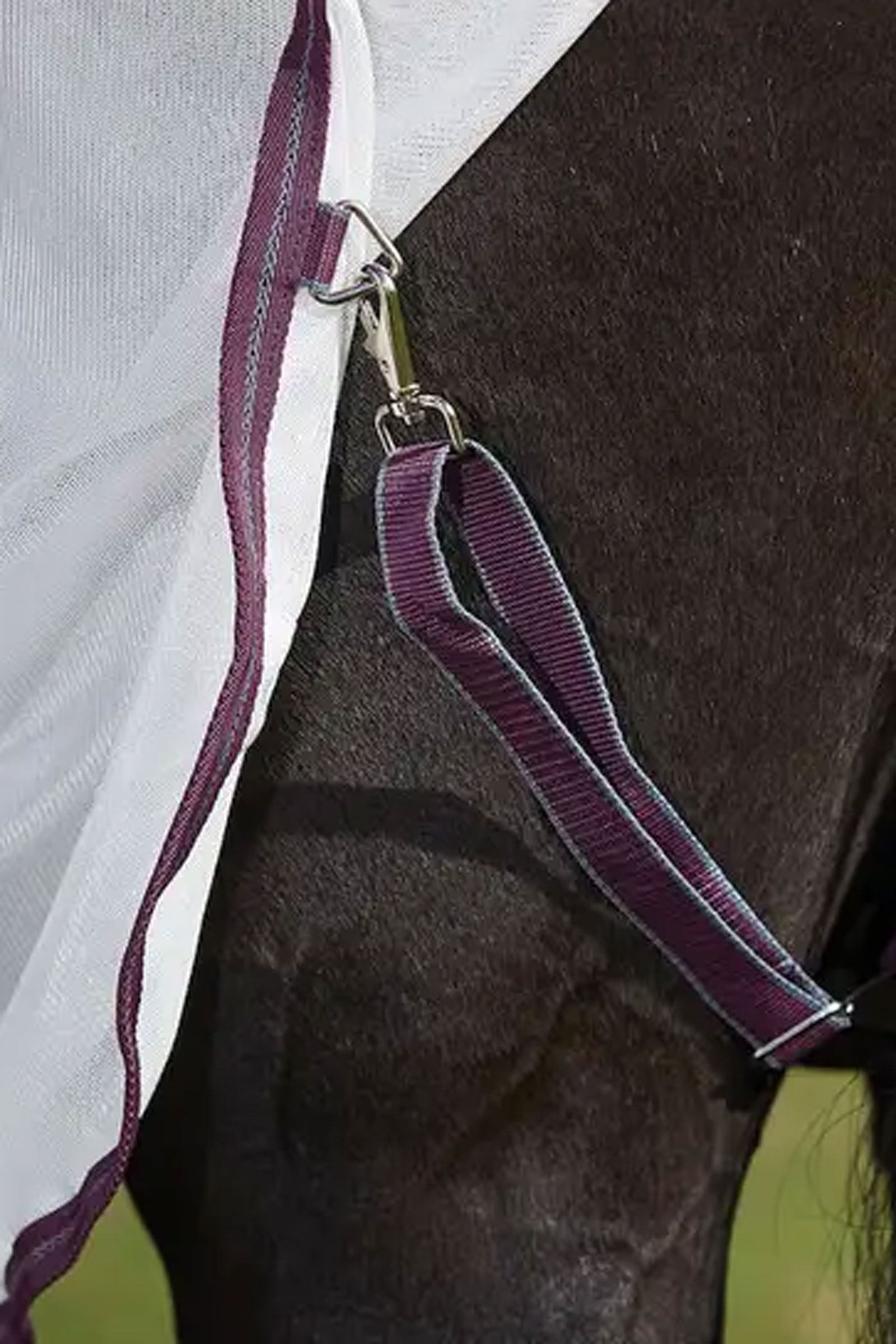 Weatherbeeta Comfitec Essential Mesh II Combo med hals