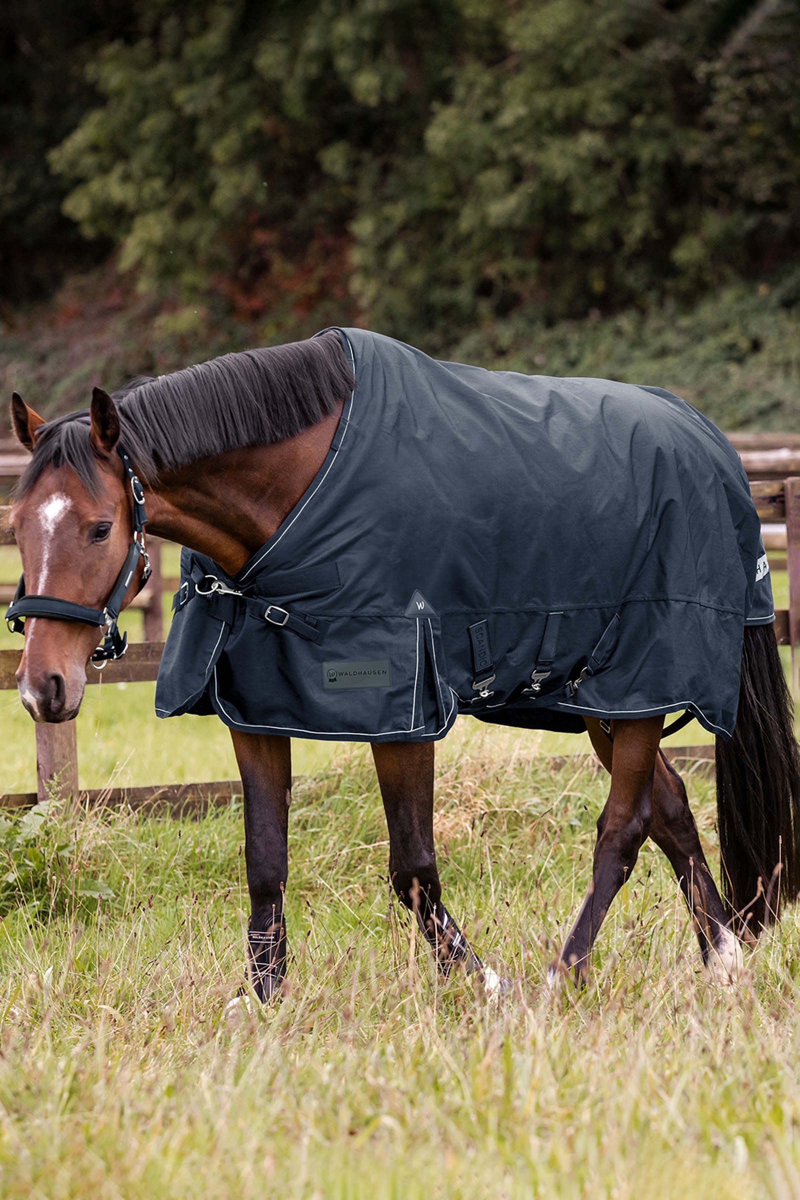 Waldhausen Utomhust&auml;cke Scandic 300 g