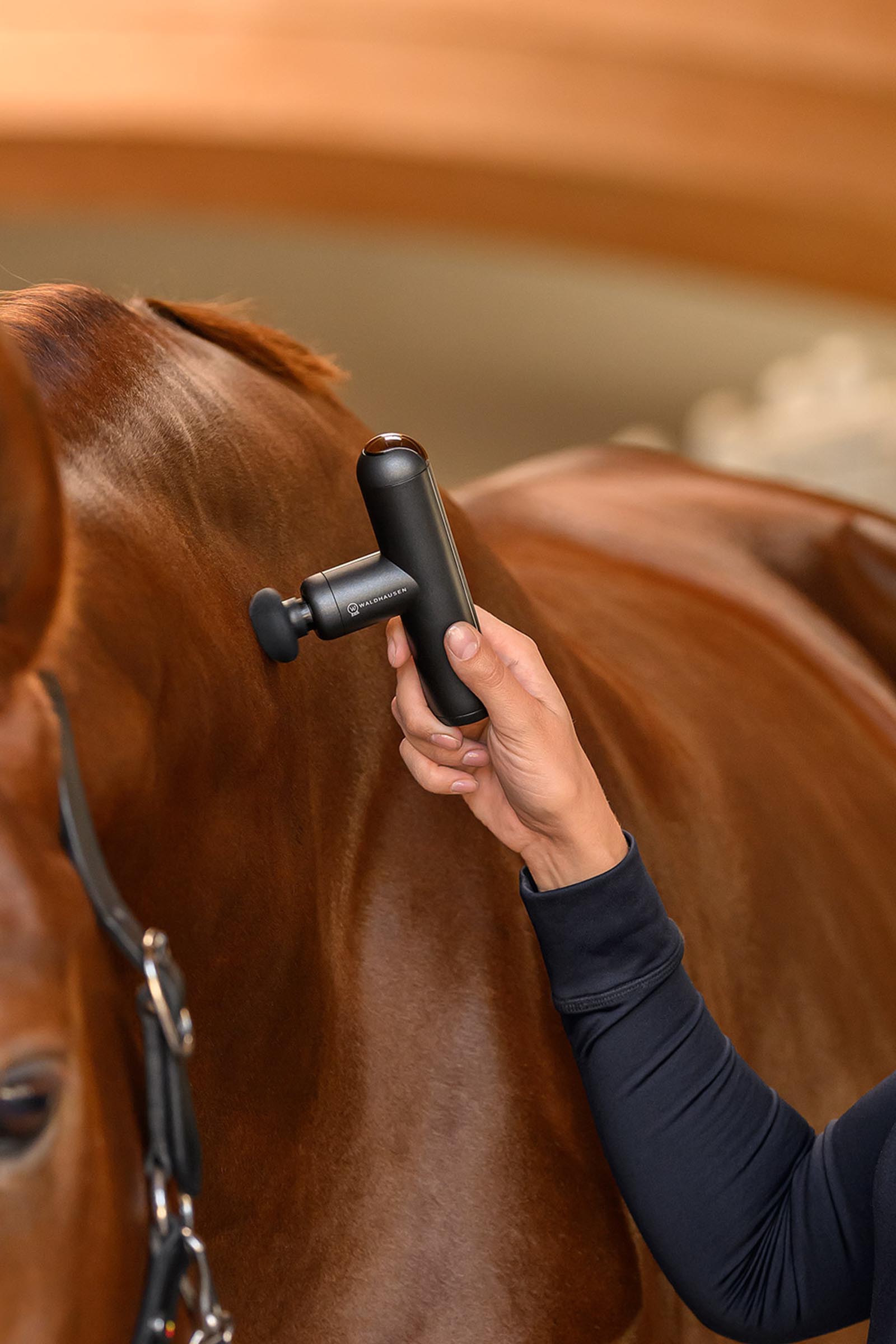 Waldhausen Health + Care massageapparat Pocket Relax