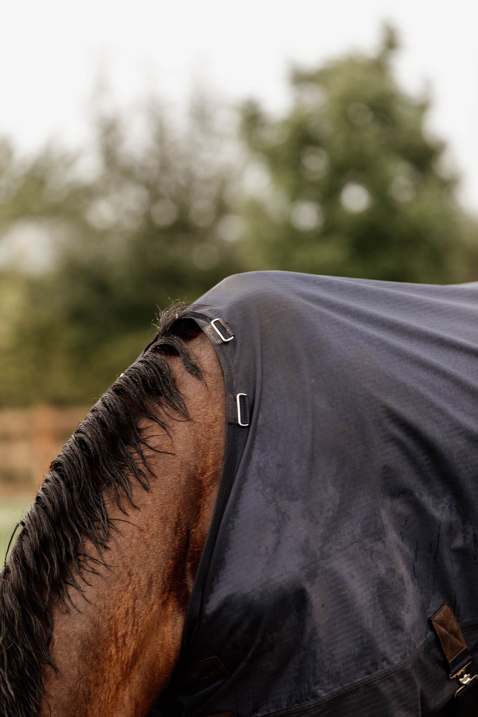 Kentucky Horsewear All Weather utetäcke, 300 g