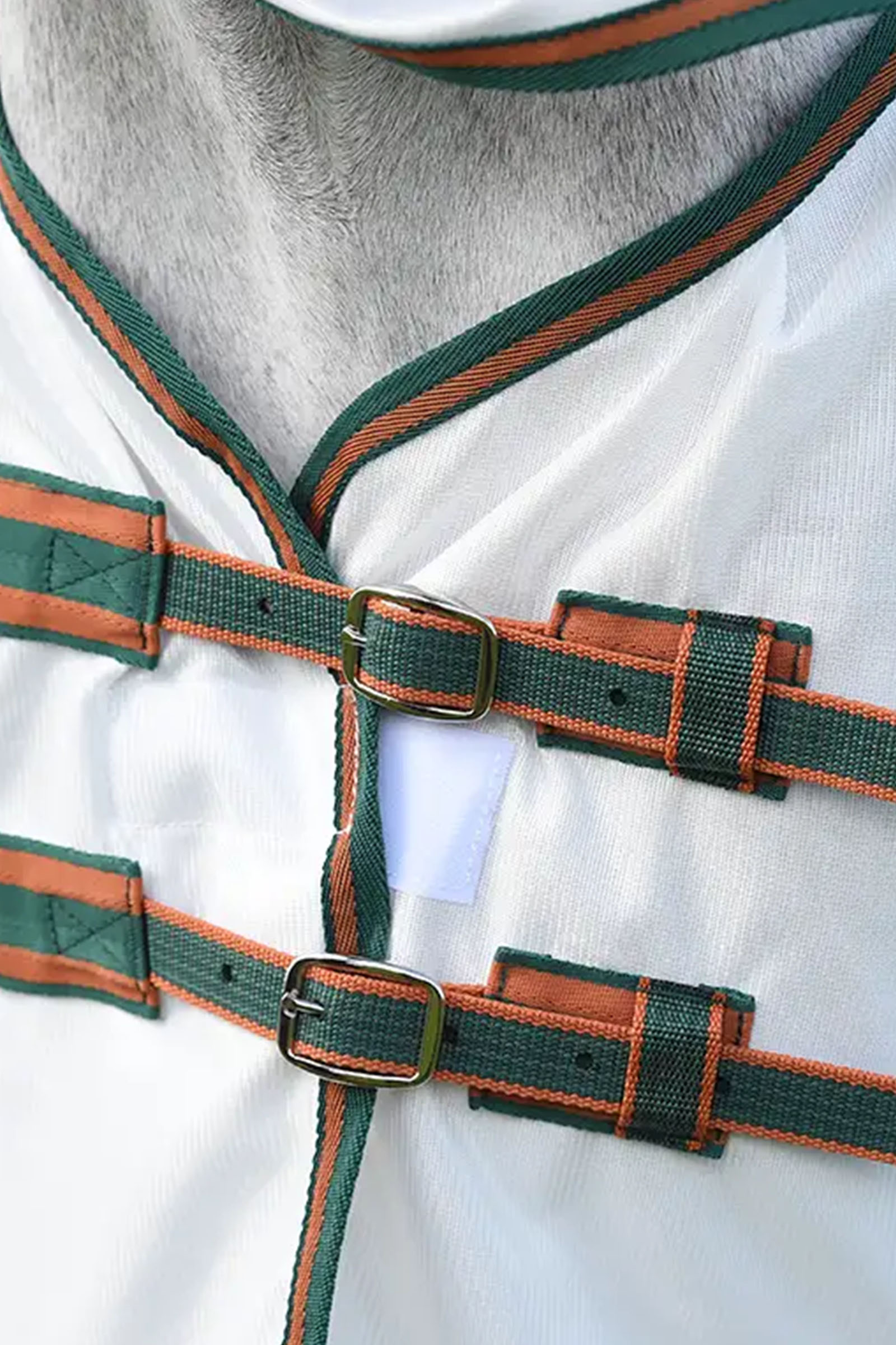 Weatherbeeta Comfitec Tyro n&auml;t&auml;ckescombo med hals