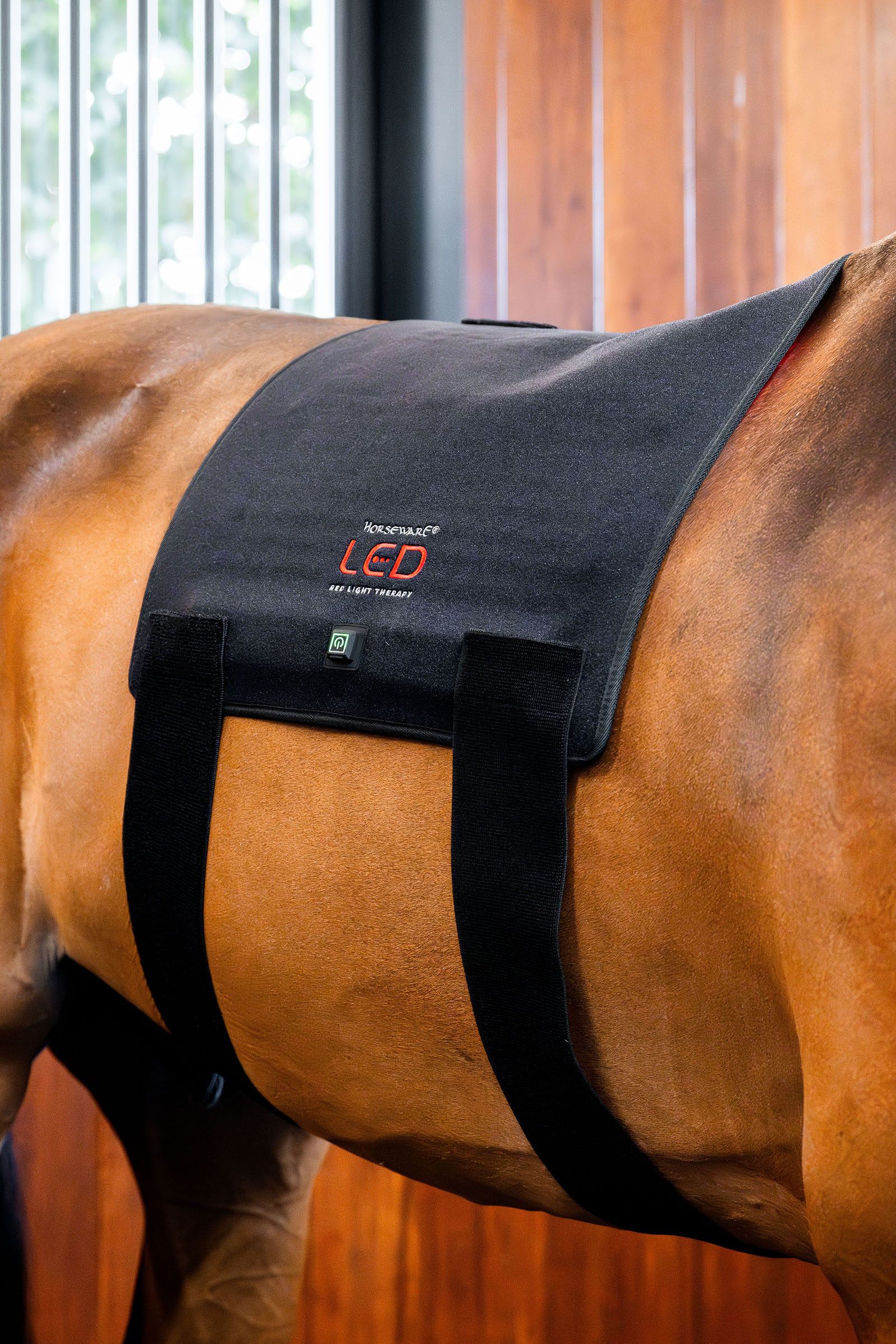 Horseware LED-rött ljusterapi Pad