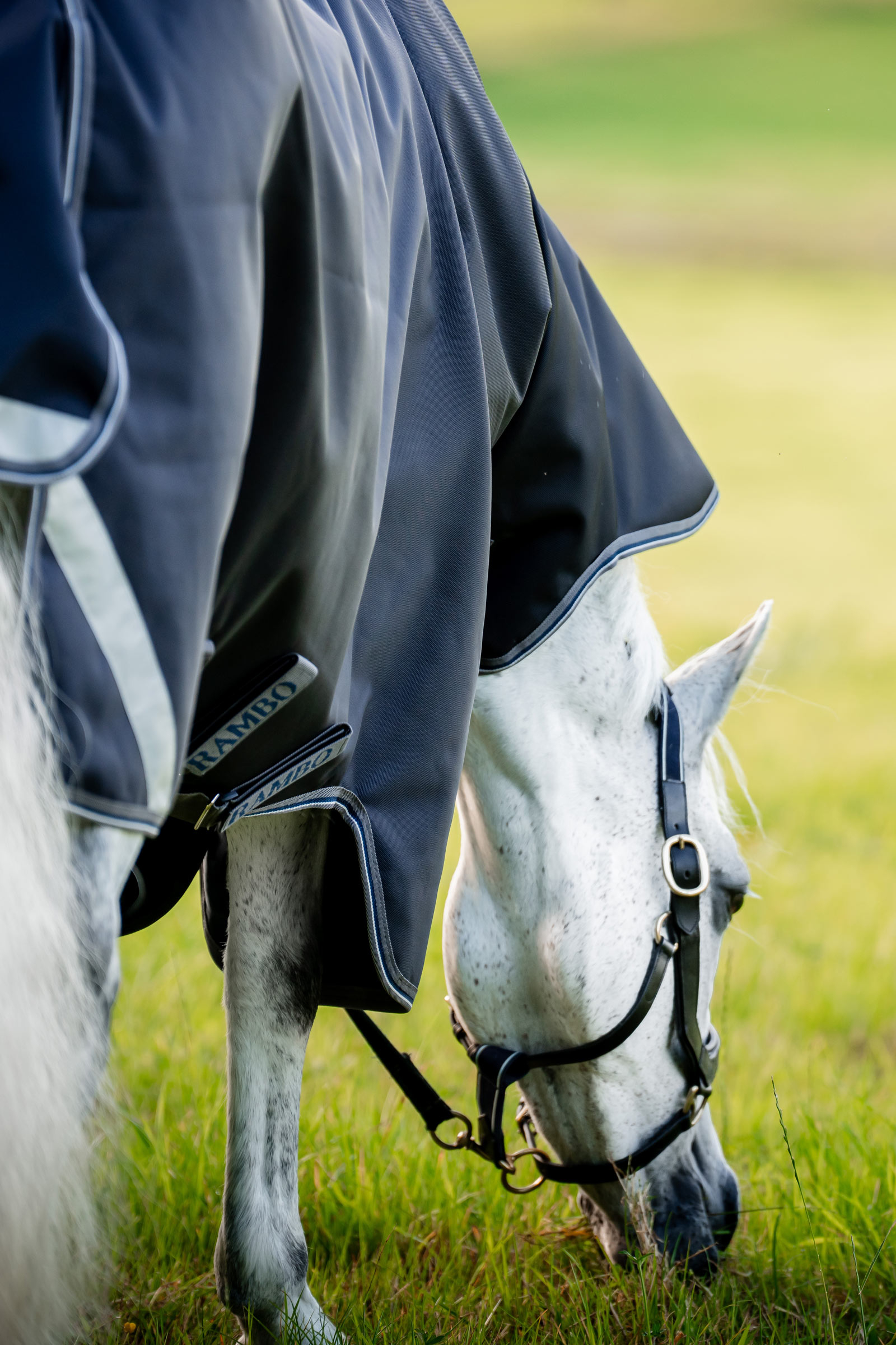 Horseware Rambo 1680D Plus Vario Layer utetäcke, 250 g