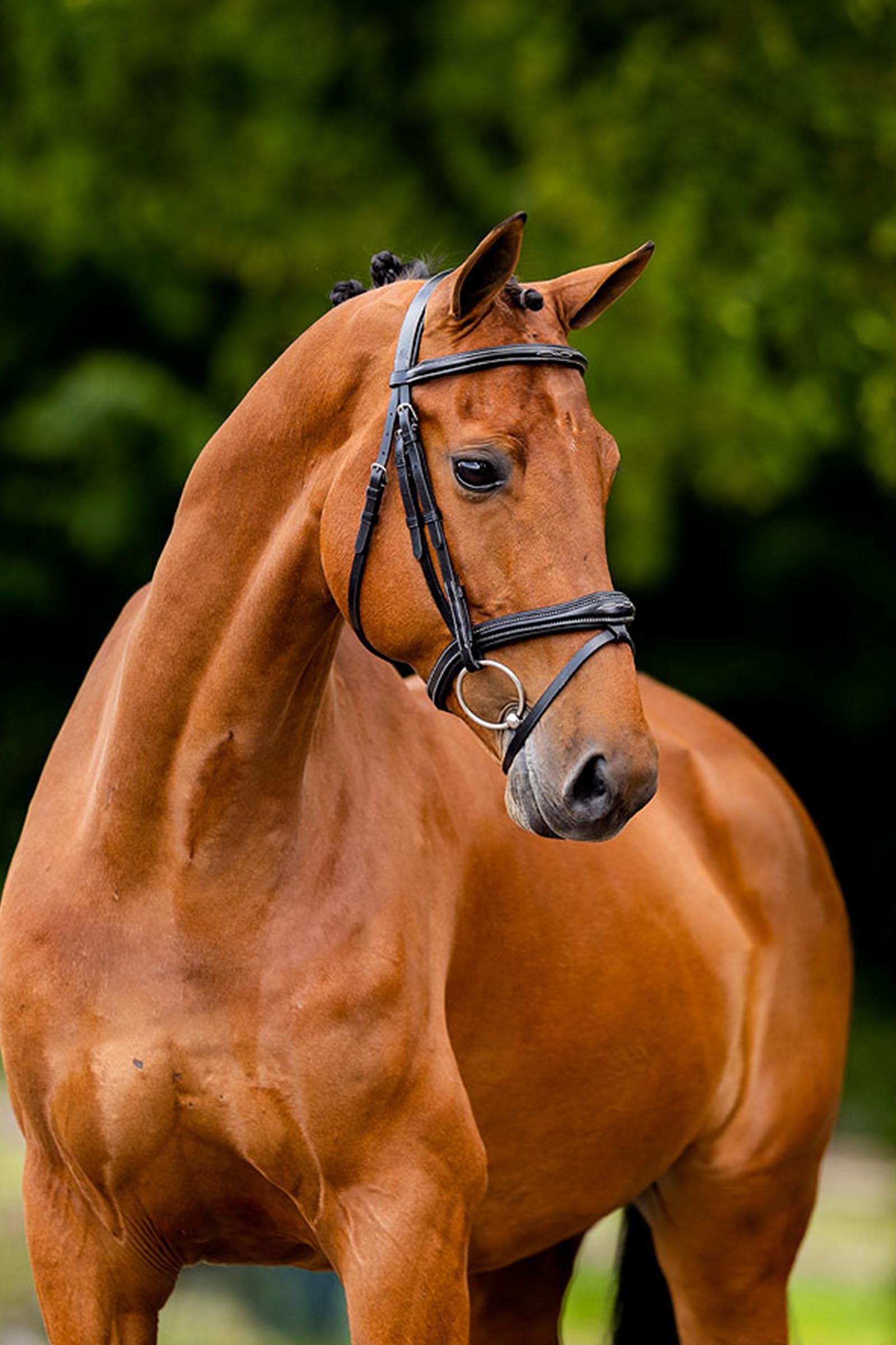 BR Cheltenham träns