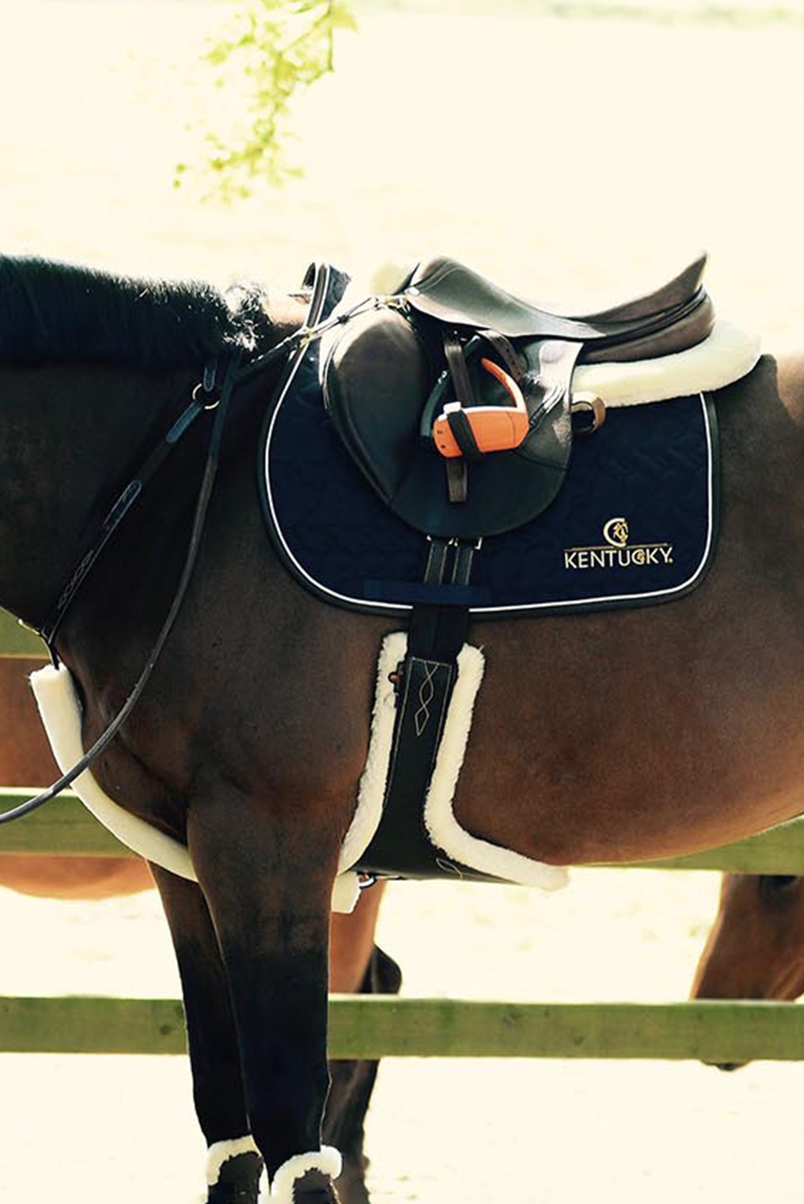 Kentucky HorsewearKentucky Horsewear fårskinnsgjord med magplatta