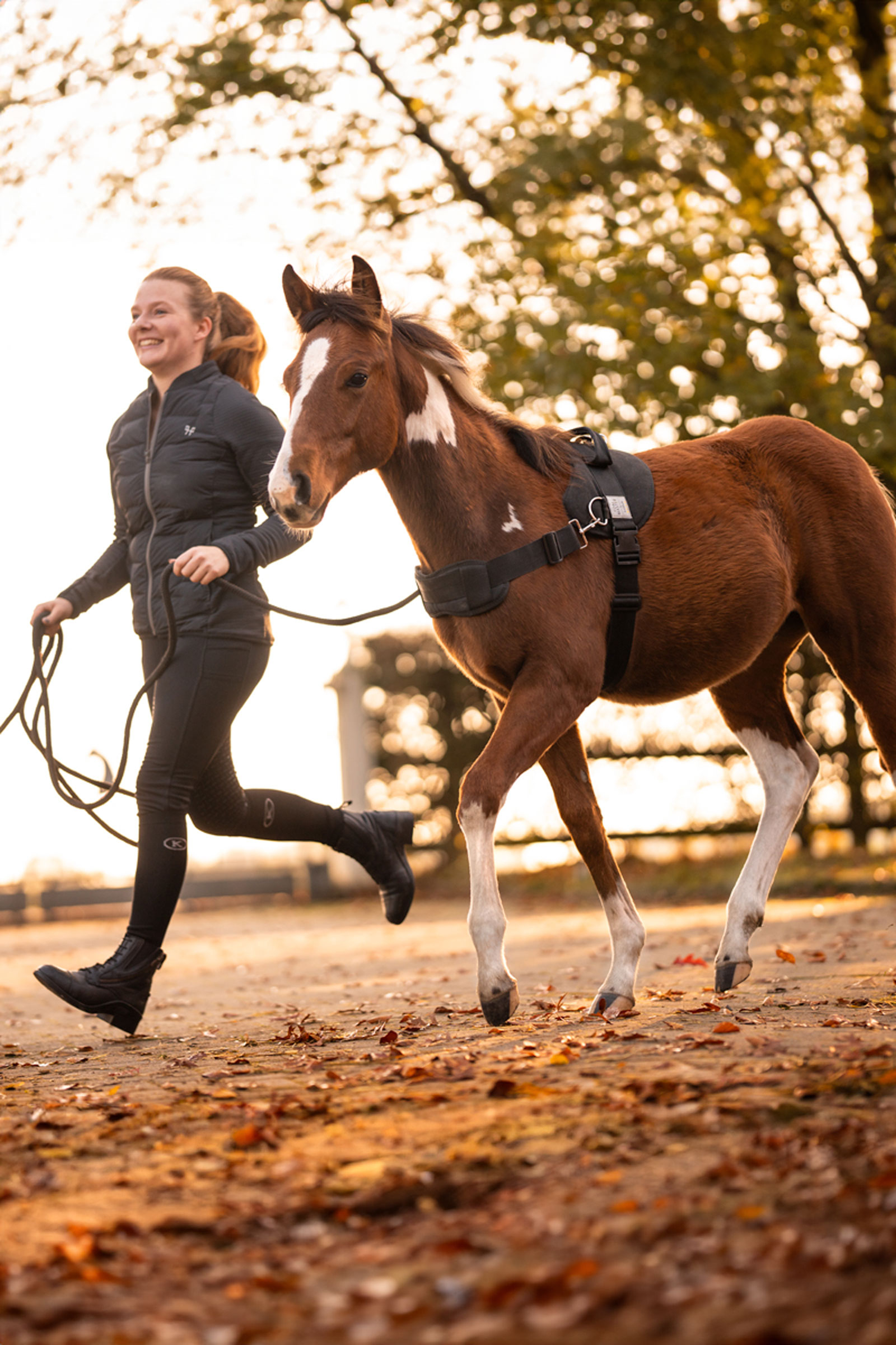 Kavalkade Foalmaster f&ouml;lsele med handtag