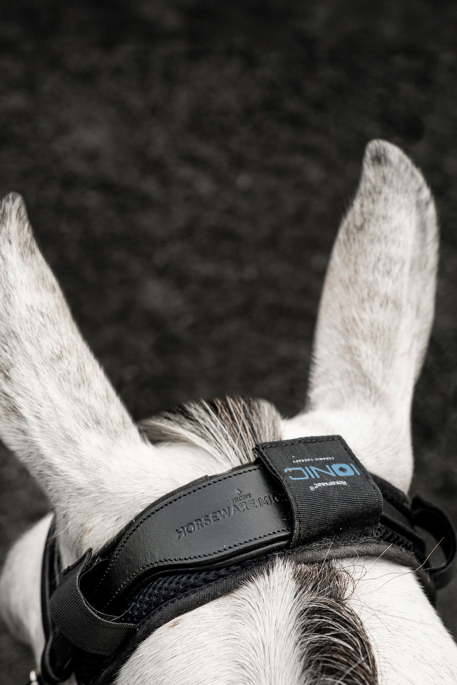 Horseware Ionic nackskydd