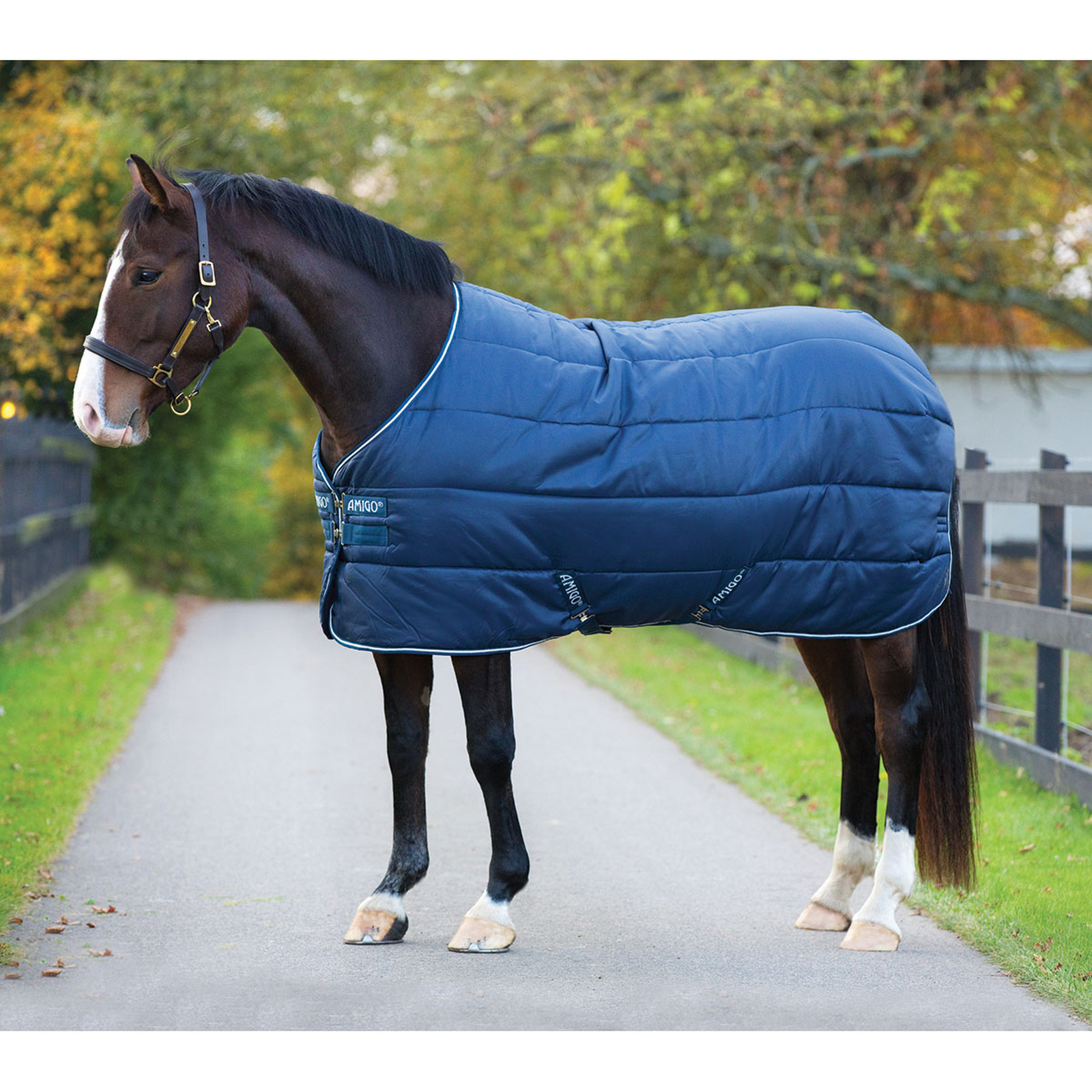 Horseware Amigo Insulator Heavy (inkl hals)