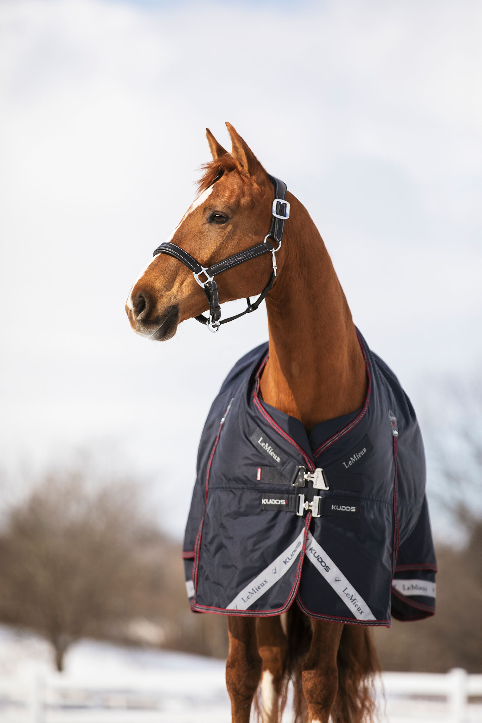 LeMieux Kudos utet&auml;cke 350g