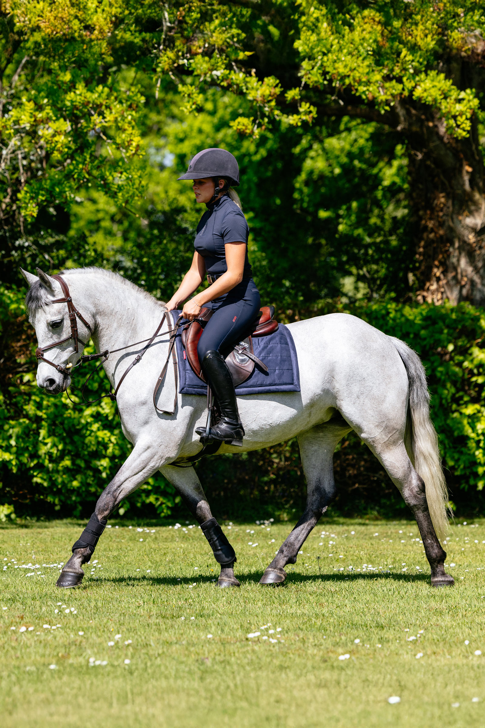 LeMieux Pillow vadderat allroundschabrak