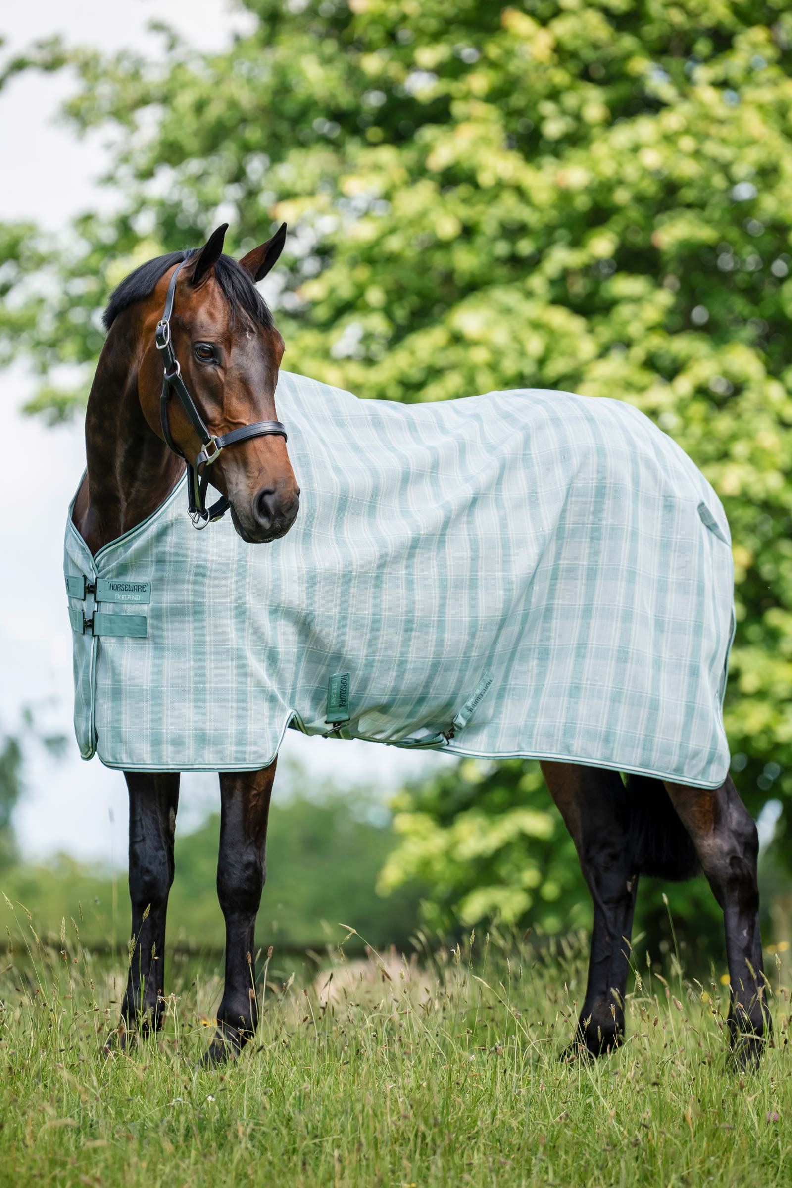 Horseware Newmarket flugt&auml;cke med UV-skydd