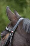 Kieffer Ultrasoft® Bridle
