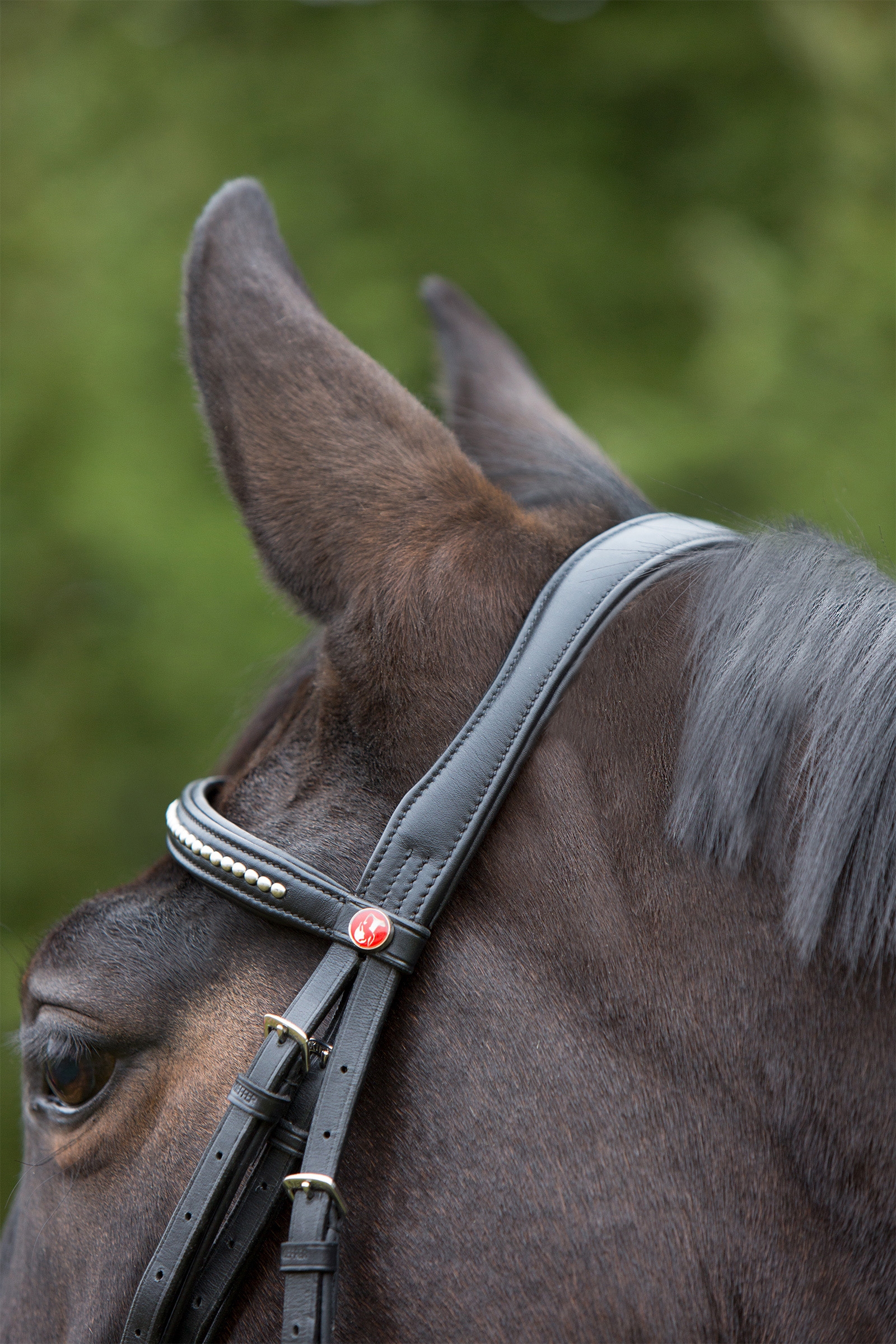 Kieffer Ultrasoft® Bridle