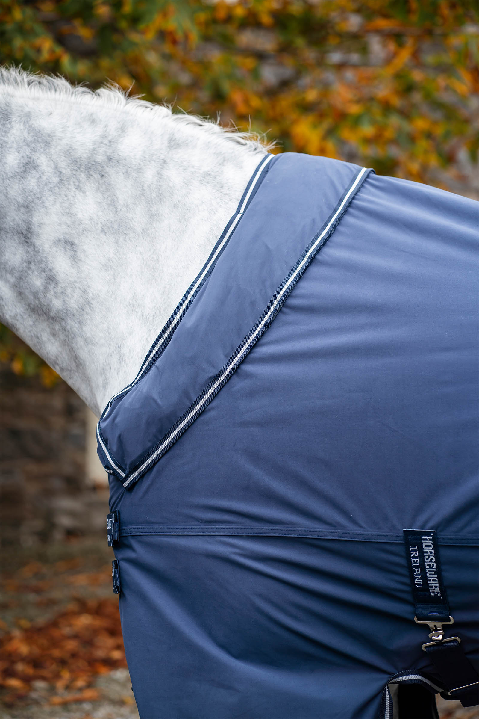 Horseware Show Ready t&auml;cke