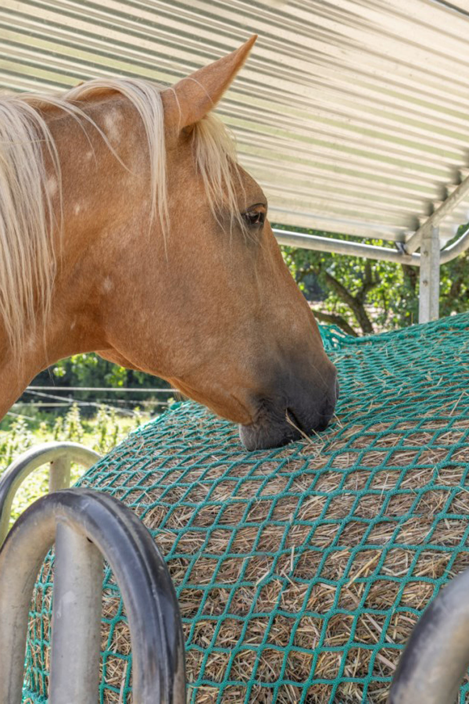 Kerbl h&ouml;n&auml;t f&ouml;r rundbalar, h&auml;ngande