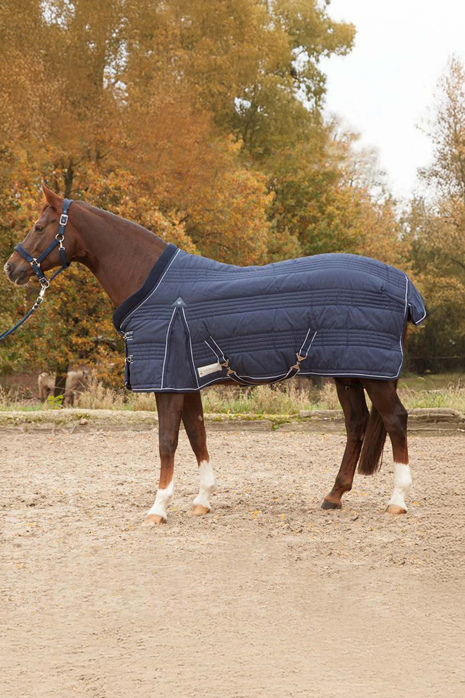 Waldhausen Stable Rug comfort Line 300g