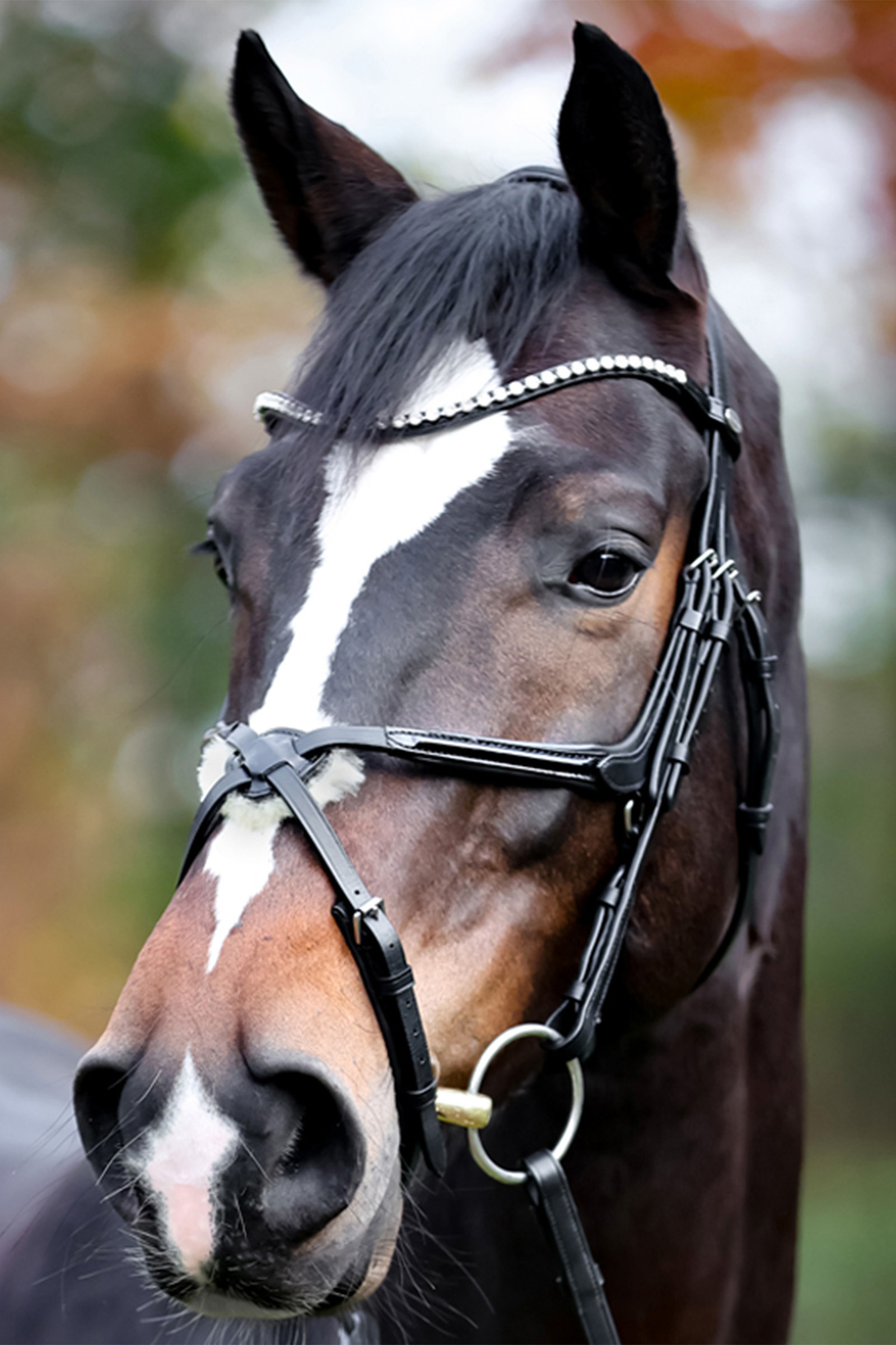 Black/Patent Grey Kavalkade Lucia Mexican Bridle