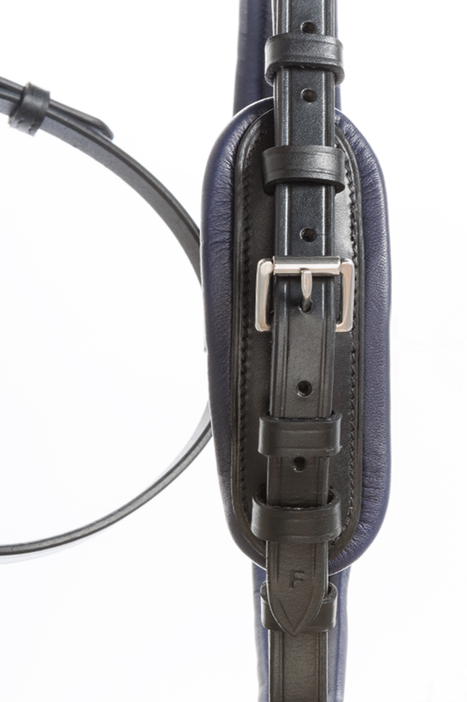 Kavalkade träns Ocean crank med nosgrimma och pullback-funktion