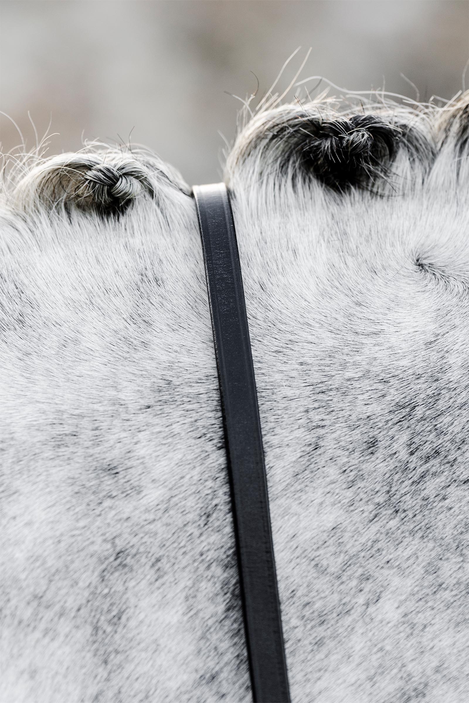 Horseware kandartyglar