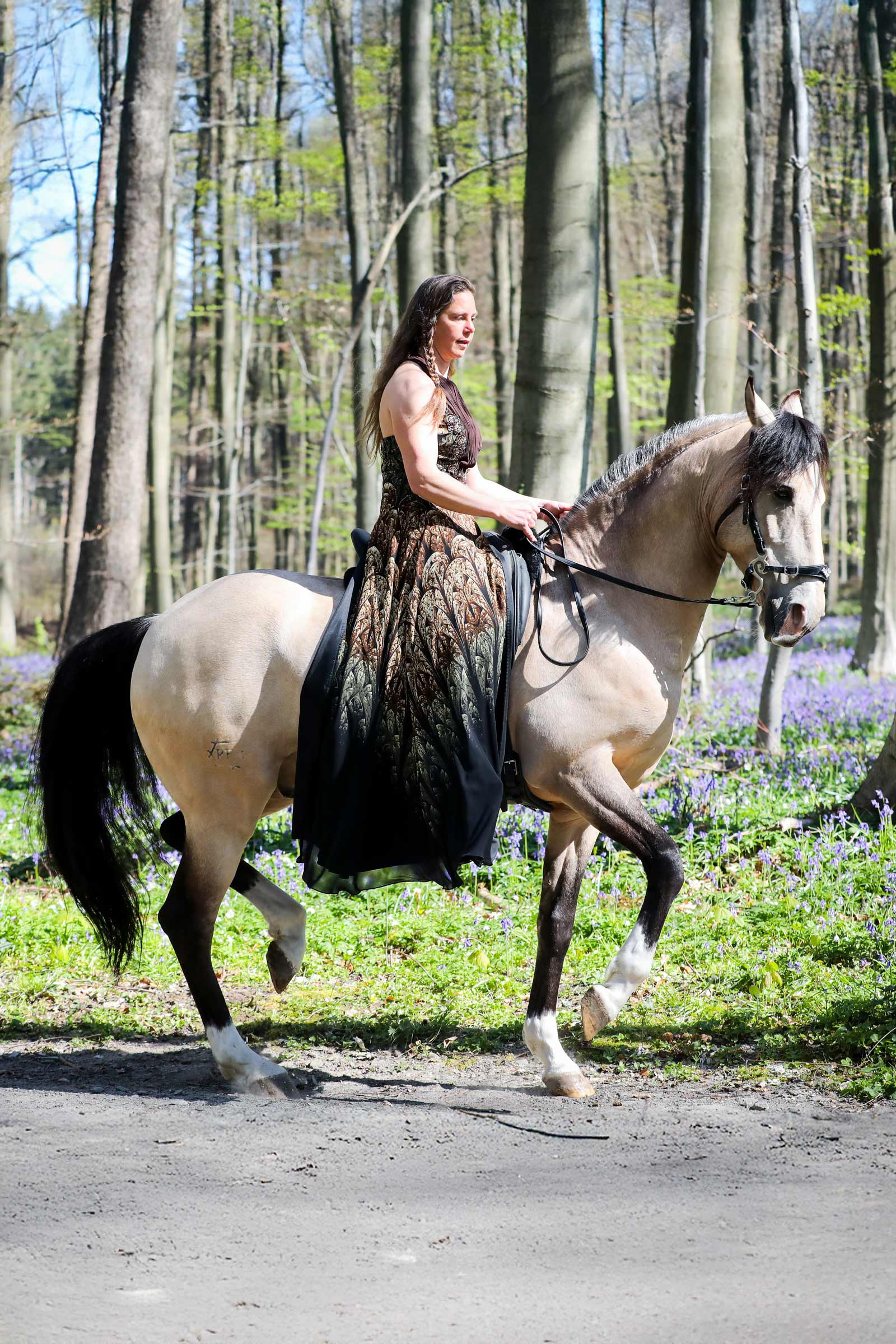 F.R.A. Freedom Riding Articles Imperial träns Hackamore med tyglar (System 2)