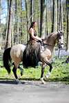 F.R.A. Freedom Riding Articles Imperial träns Hackamore med tyglar (System 2)