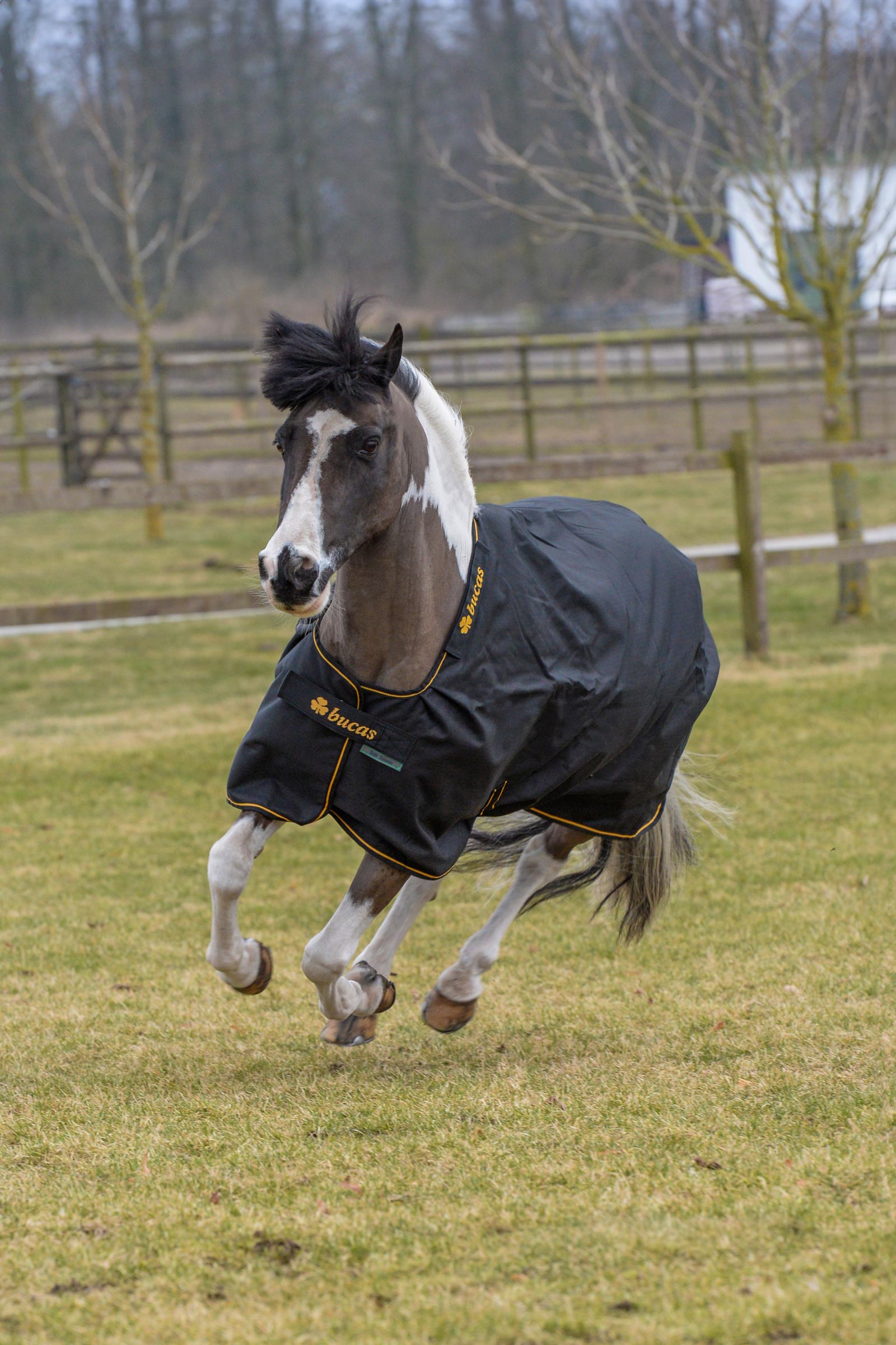 Bucas Irish Pony utetäcke, 50g