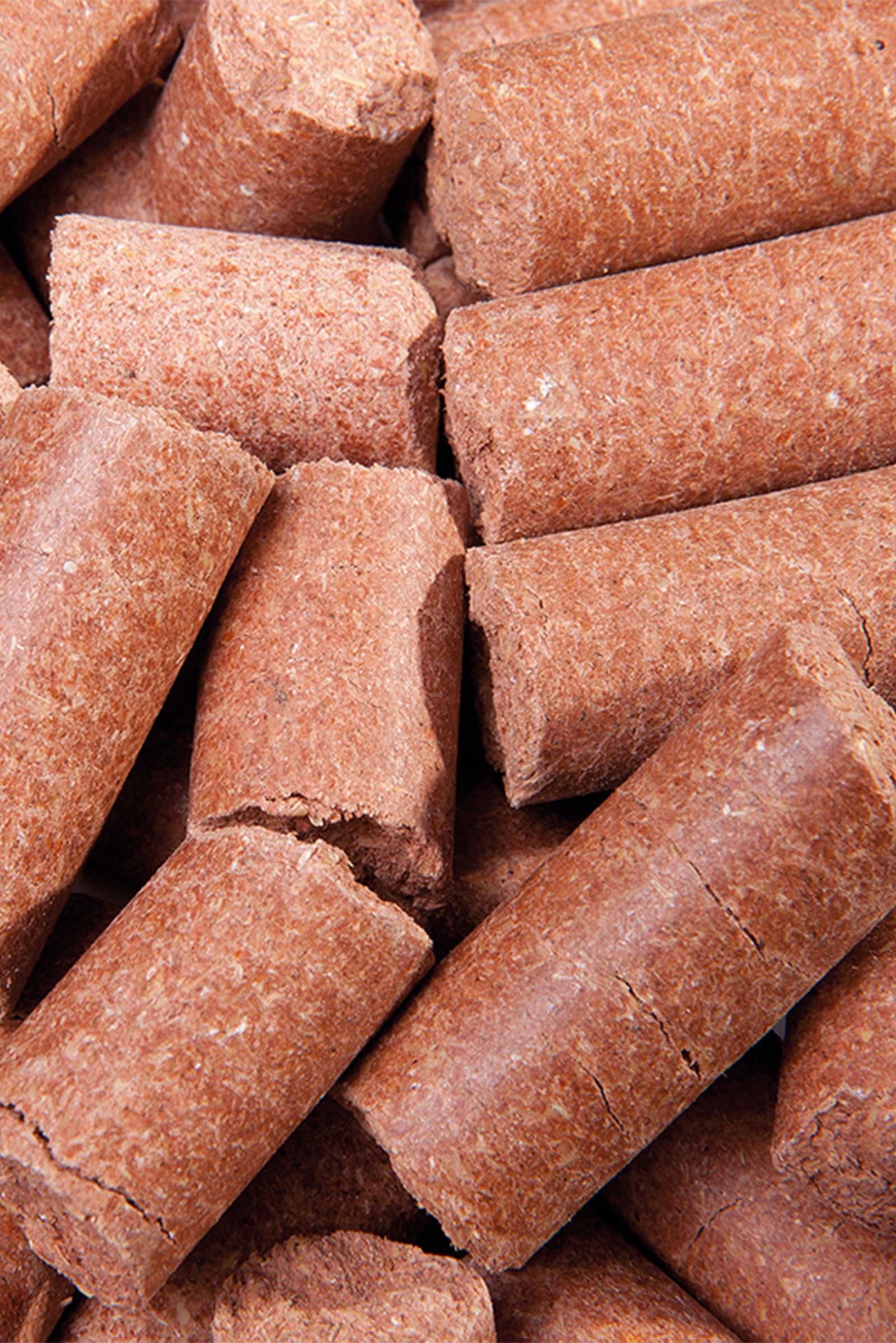 Speed Carrot Delicious Speedies, h&auml;stgodis, 5 kg