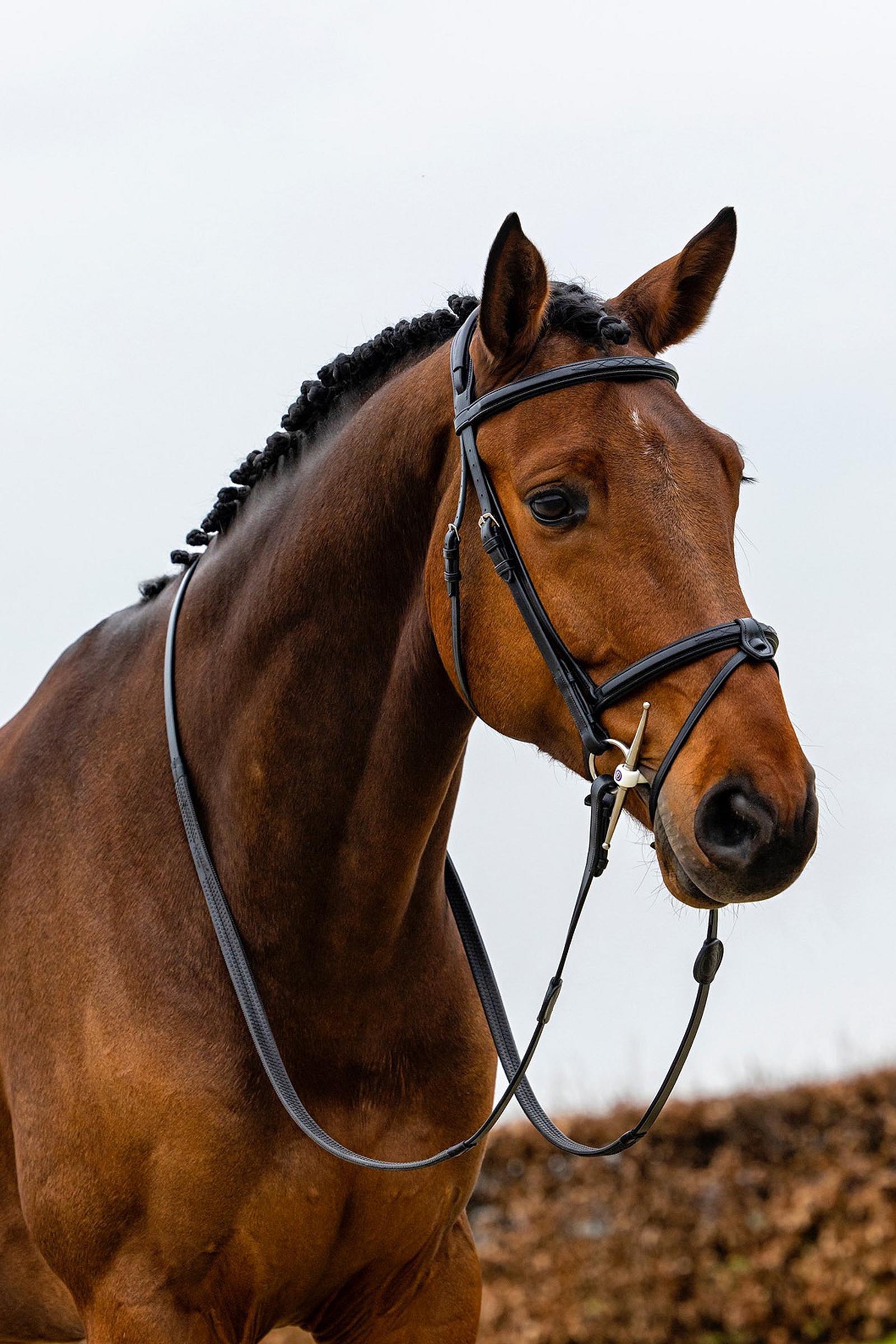 Trust Equestrian Geneva Kombinerad nosgrimma Bridle