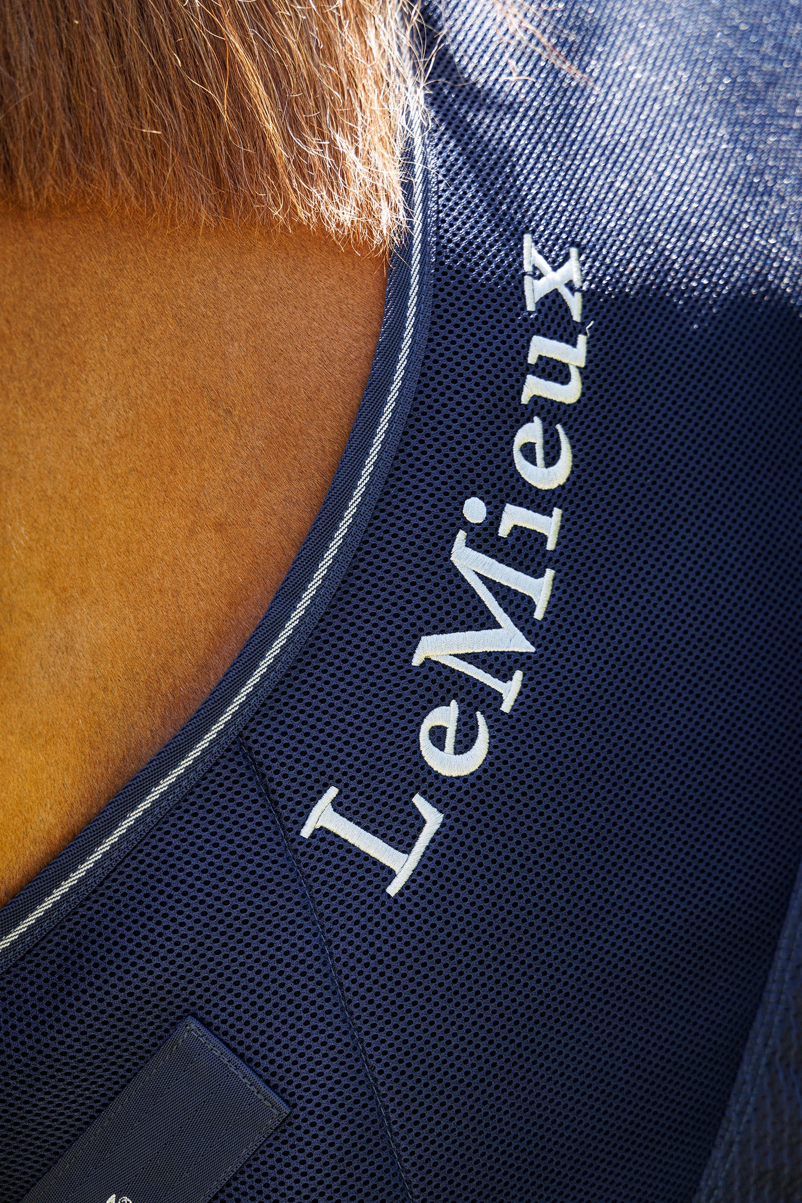 LeMieux Kudos sportigt svett&auml;cke i mesh