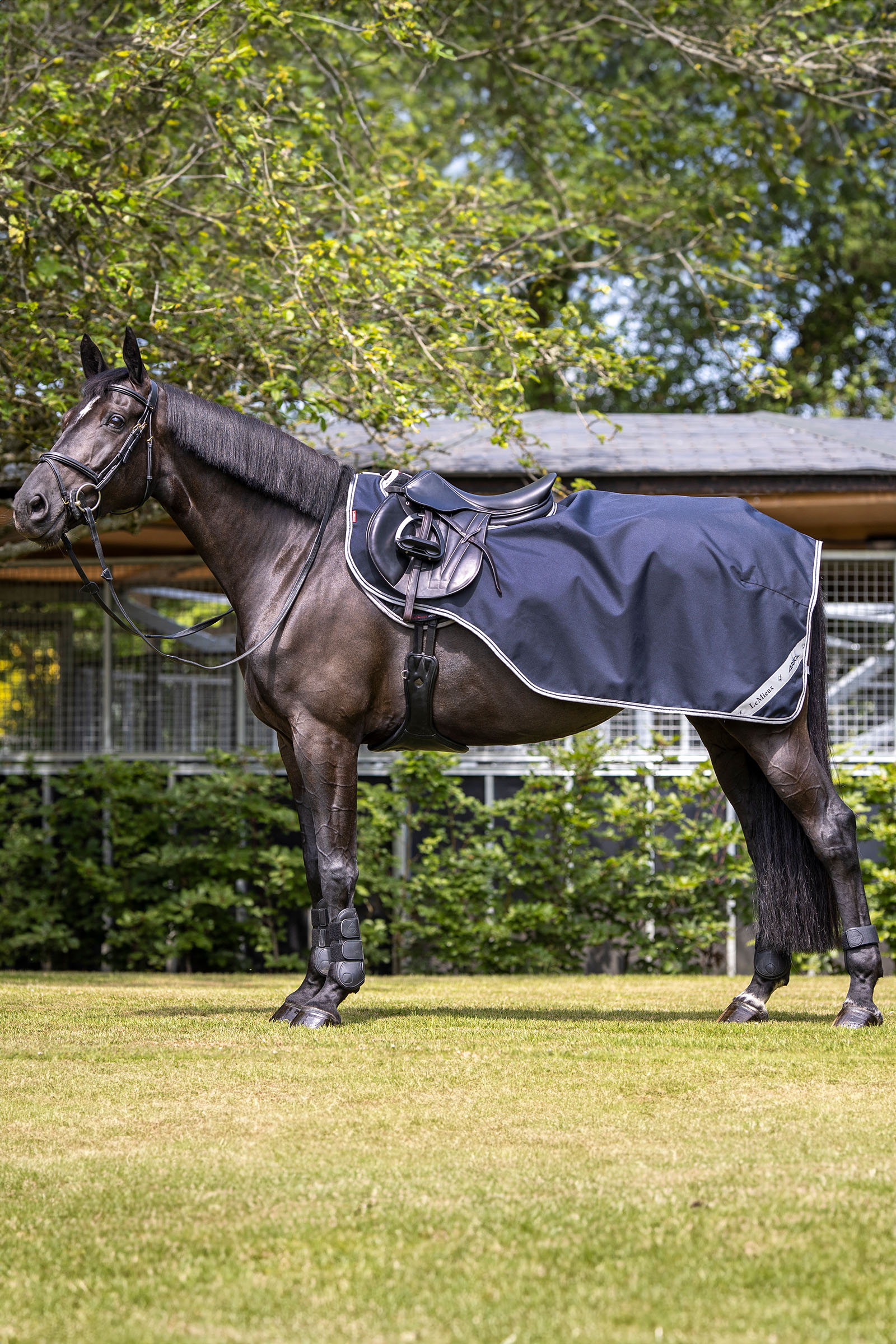 LeMieux Arika träningsschabrak